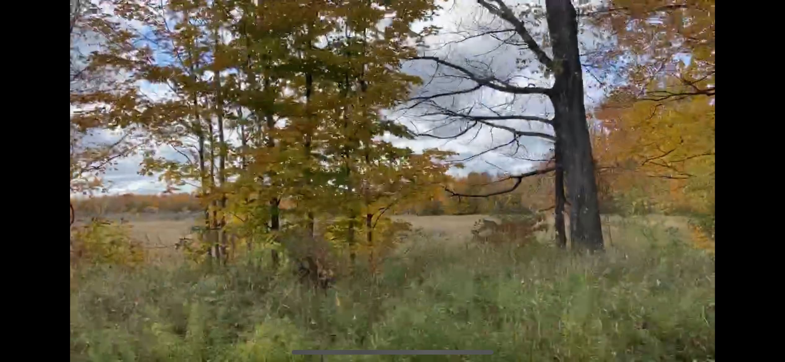 Area C - next to Bruce trail