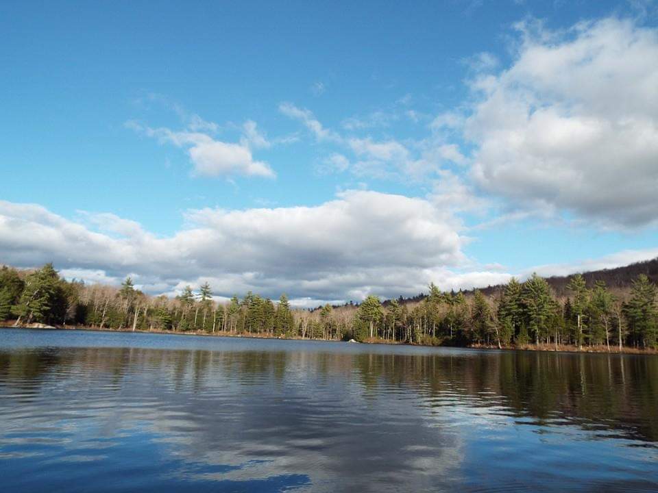 Chapman Pond Acres