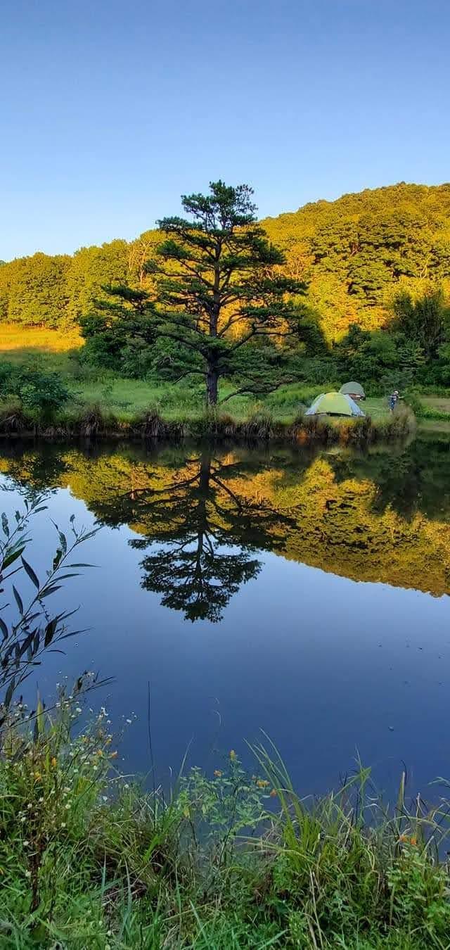 Stone Cove
