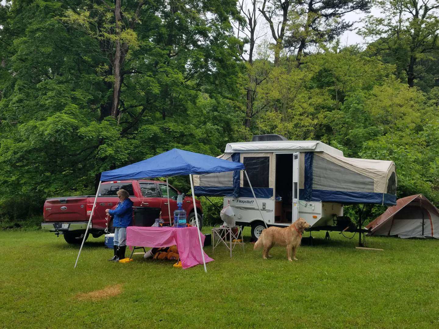 Camping wood-side 
