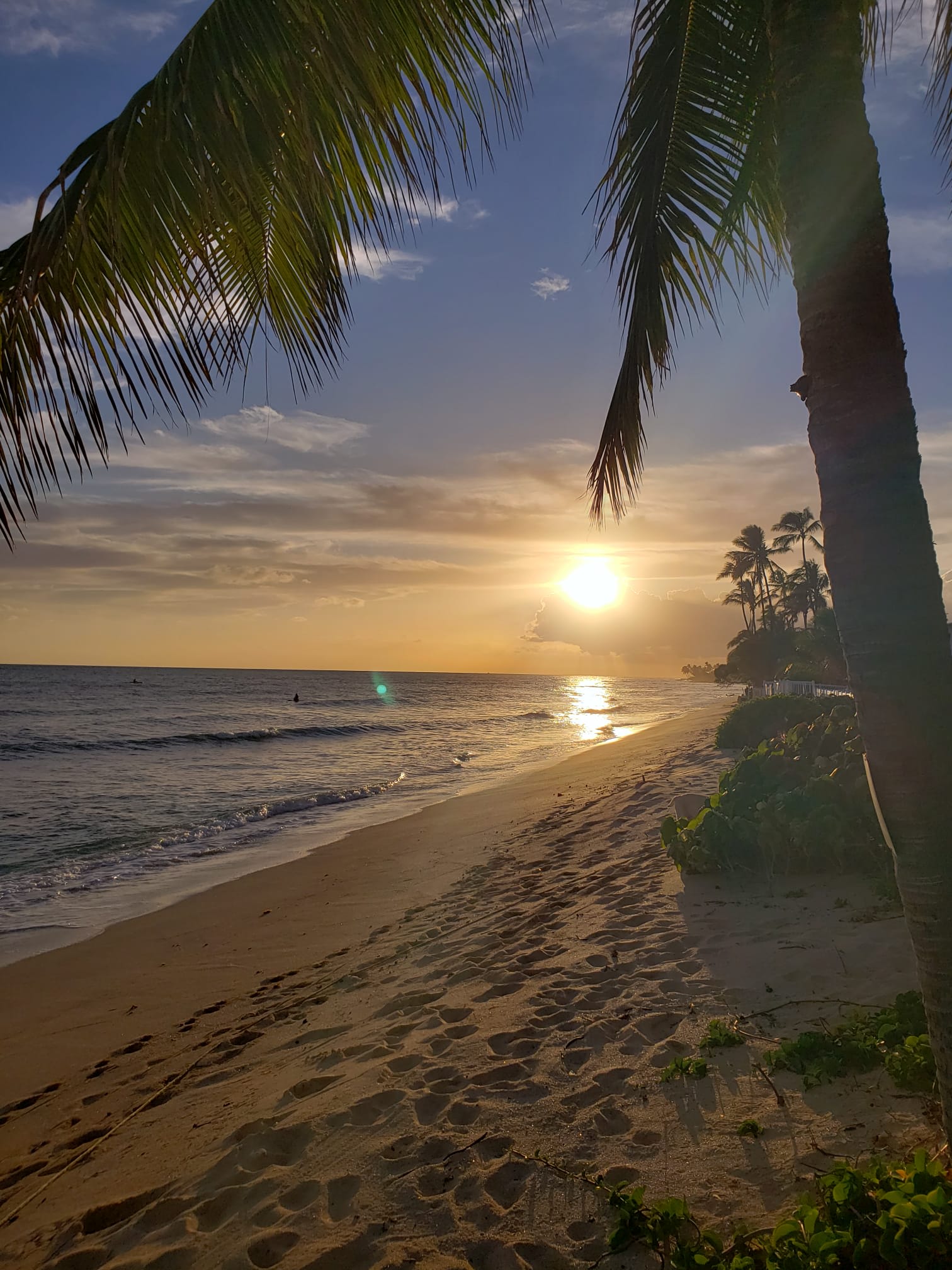 The Beach