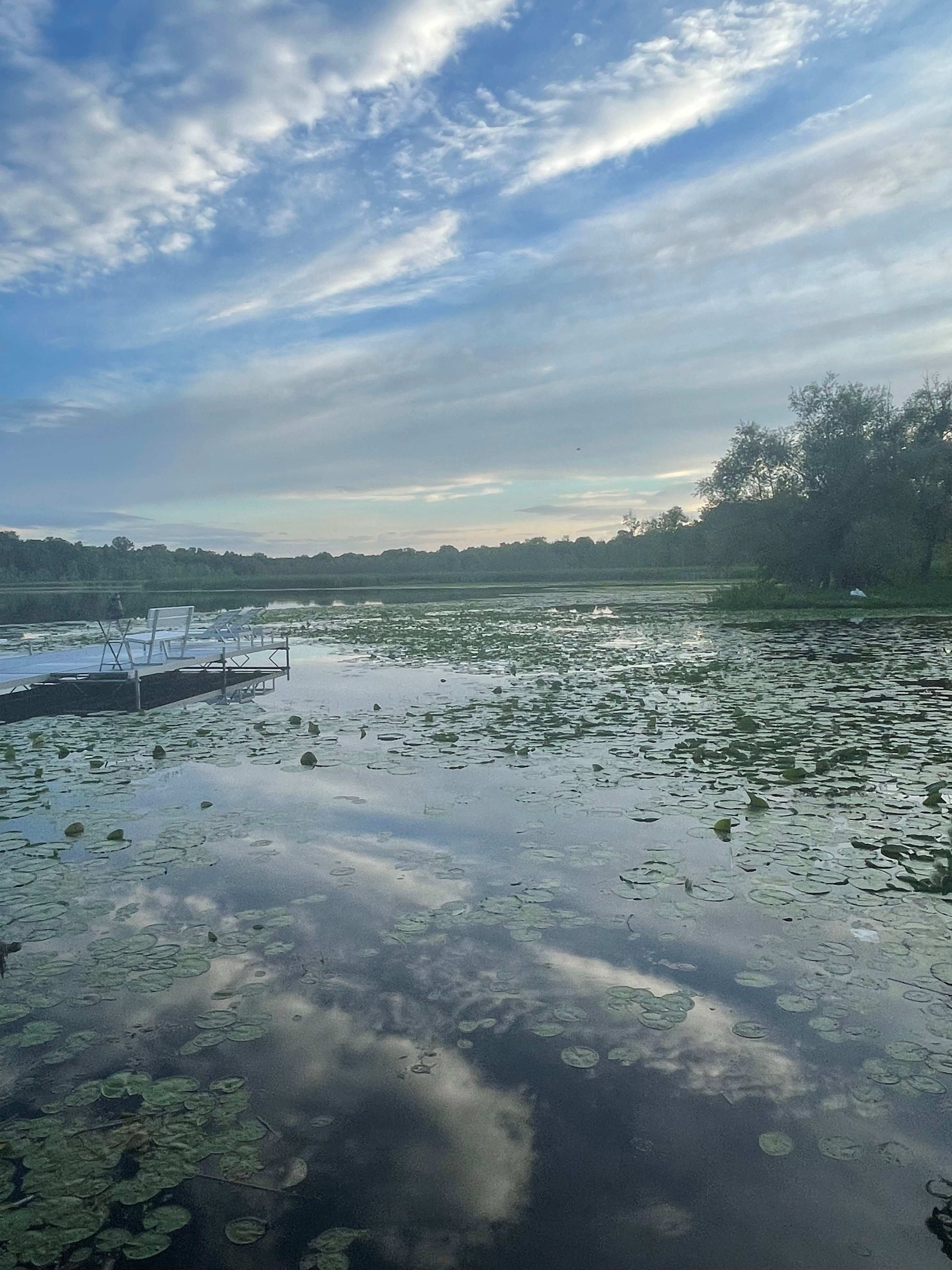 Beautiful Lake Shawood Sanctuary