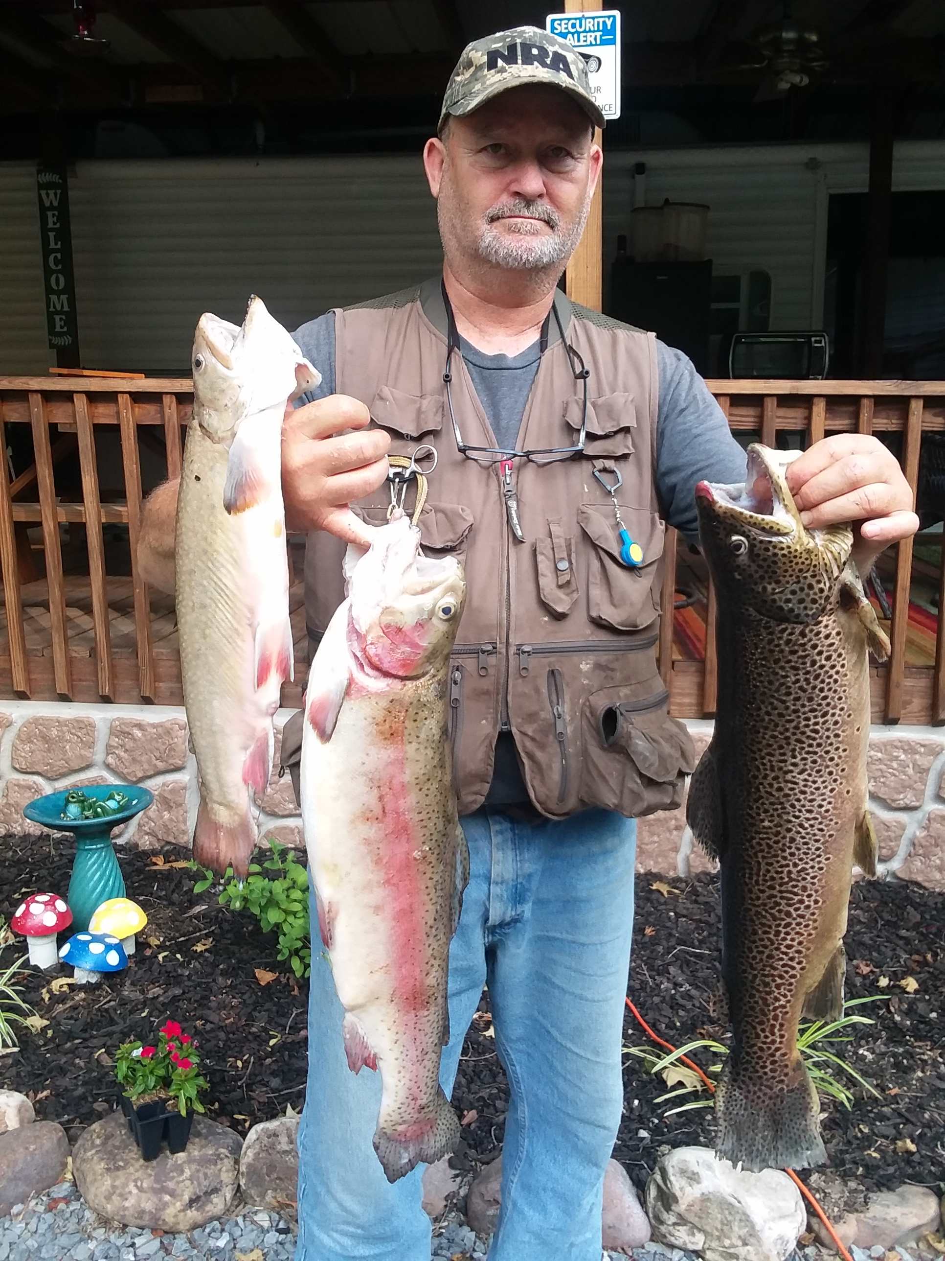 Trophy trout caught out of Big Tumbling Creek 