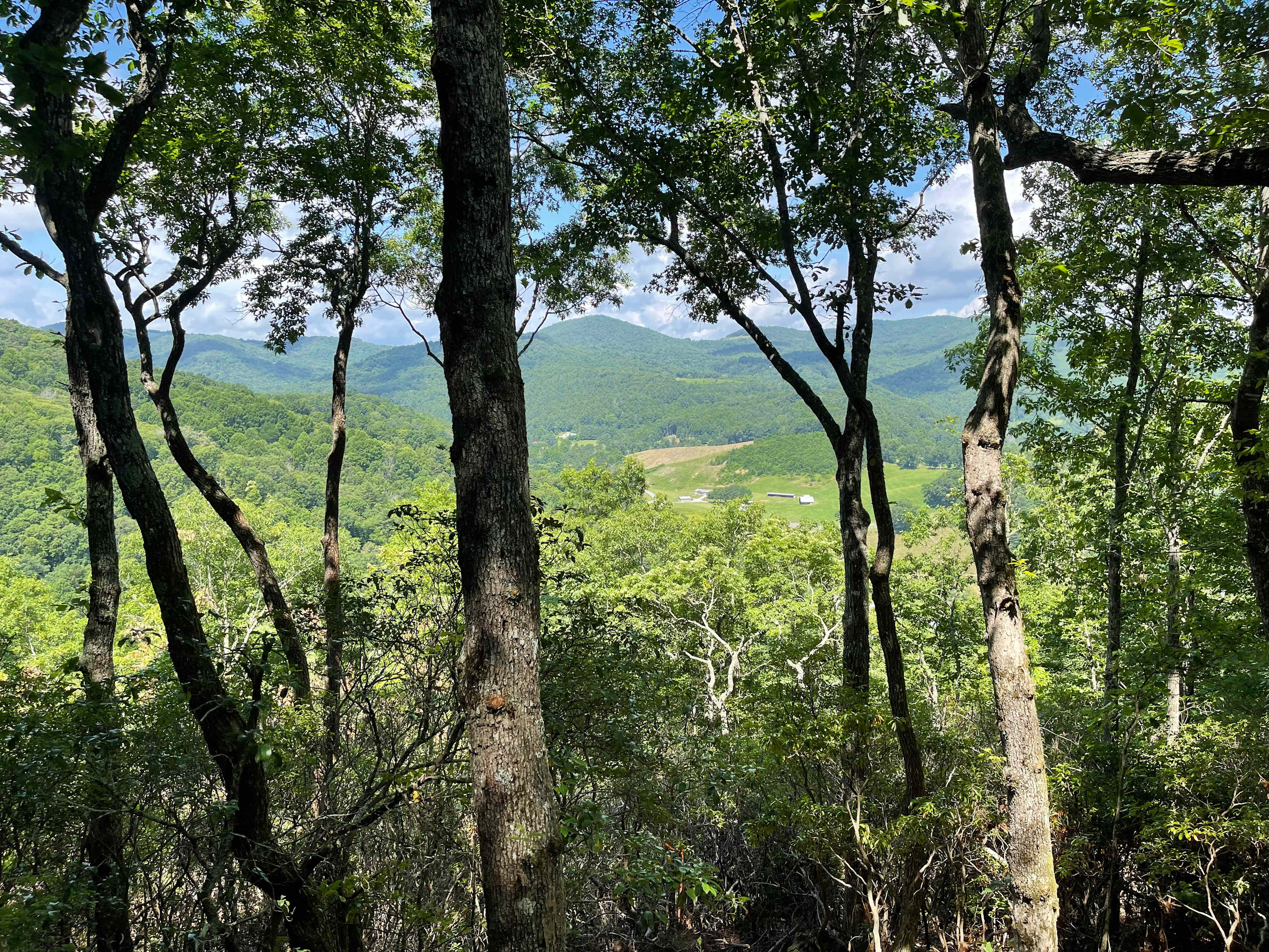 Beautiful Day at the Treehouse