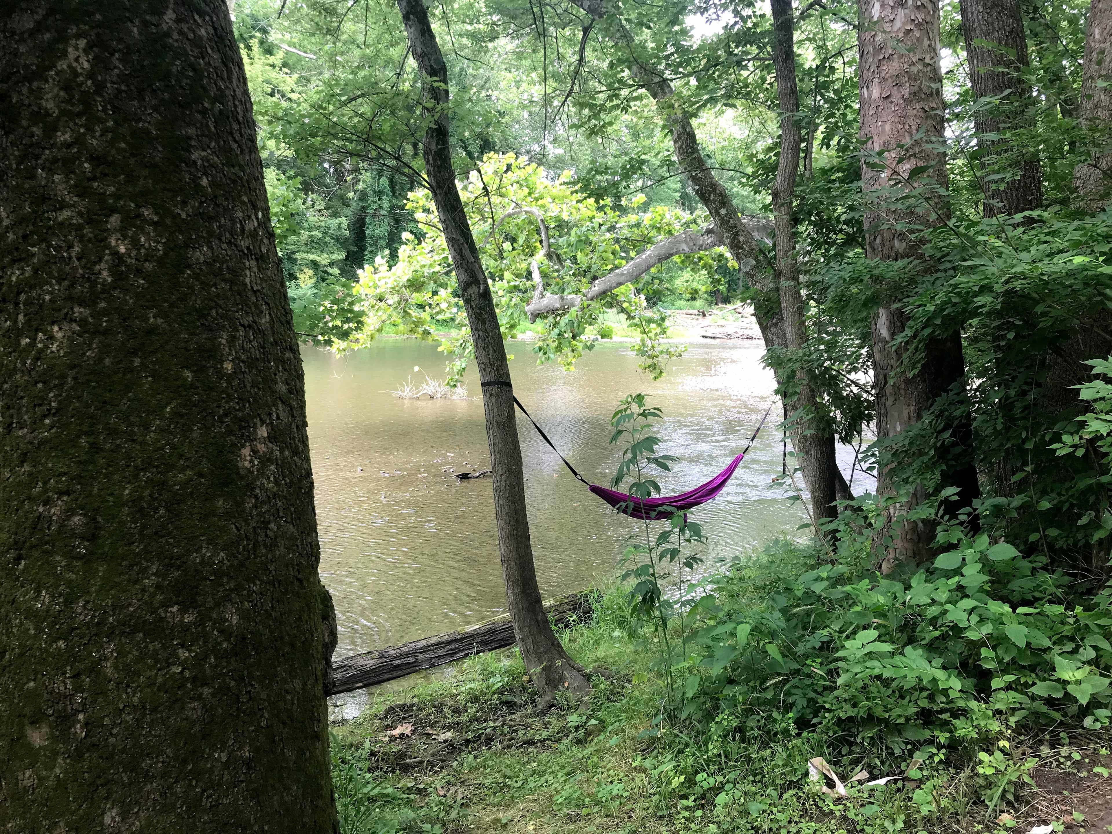View of river from campsite