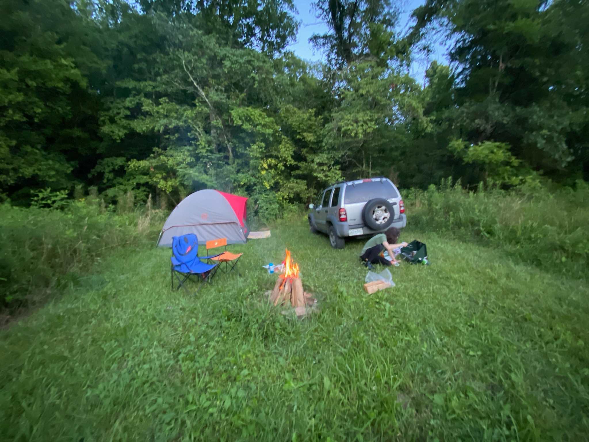 Picture of the site