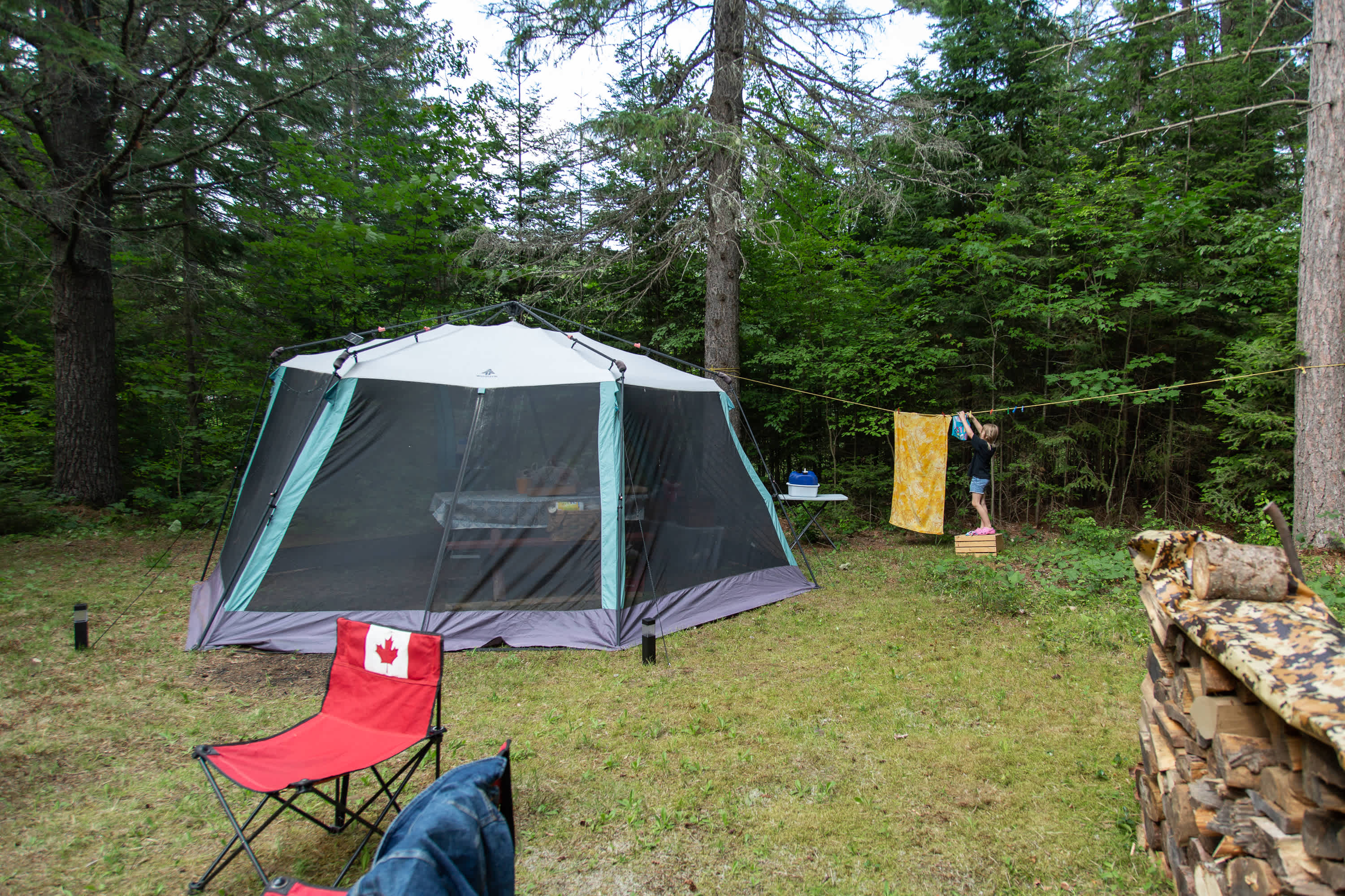Picture of the site