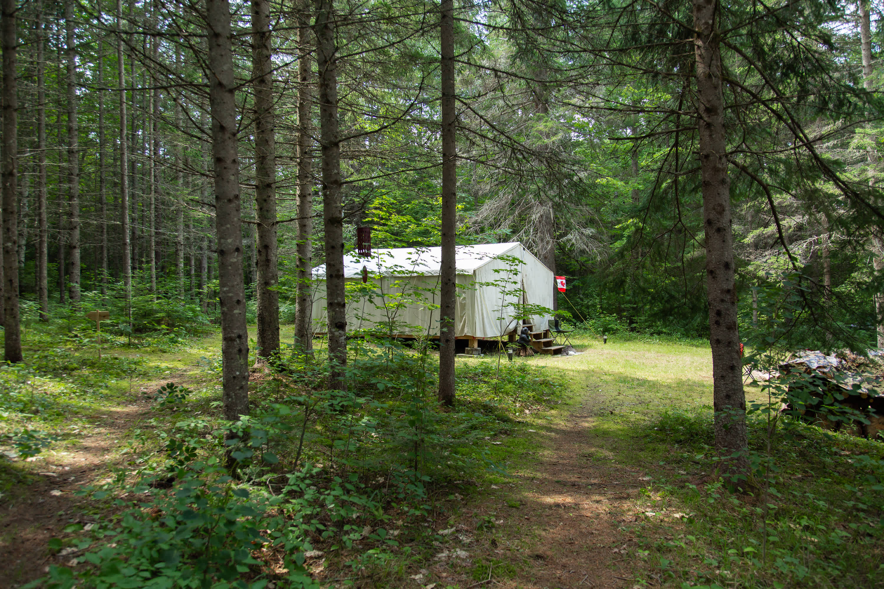 Picture of the site
