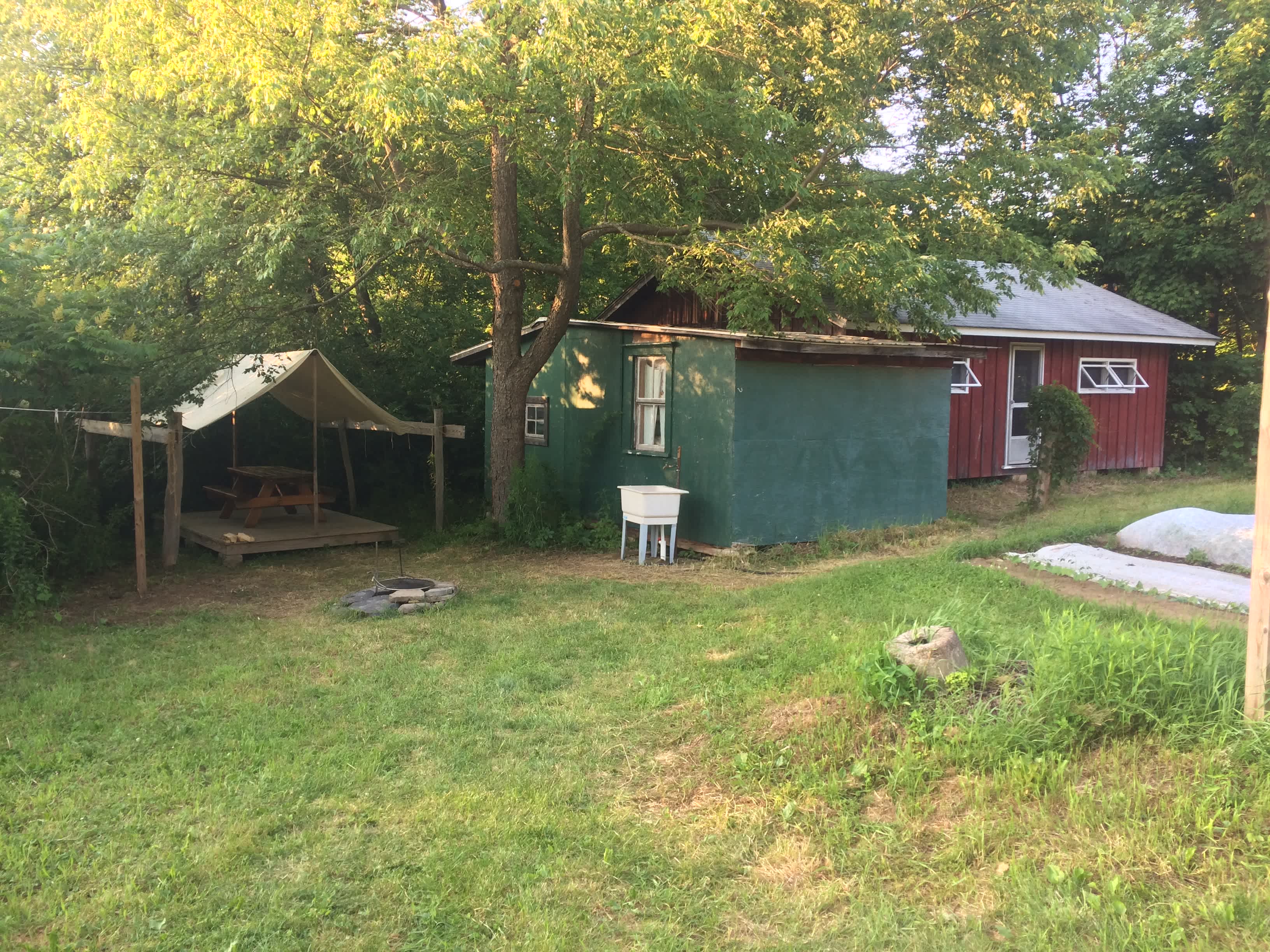 Picture of the site