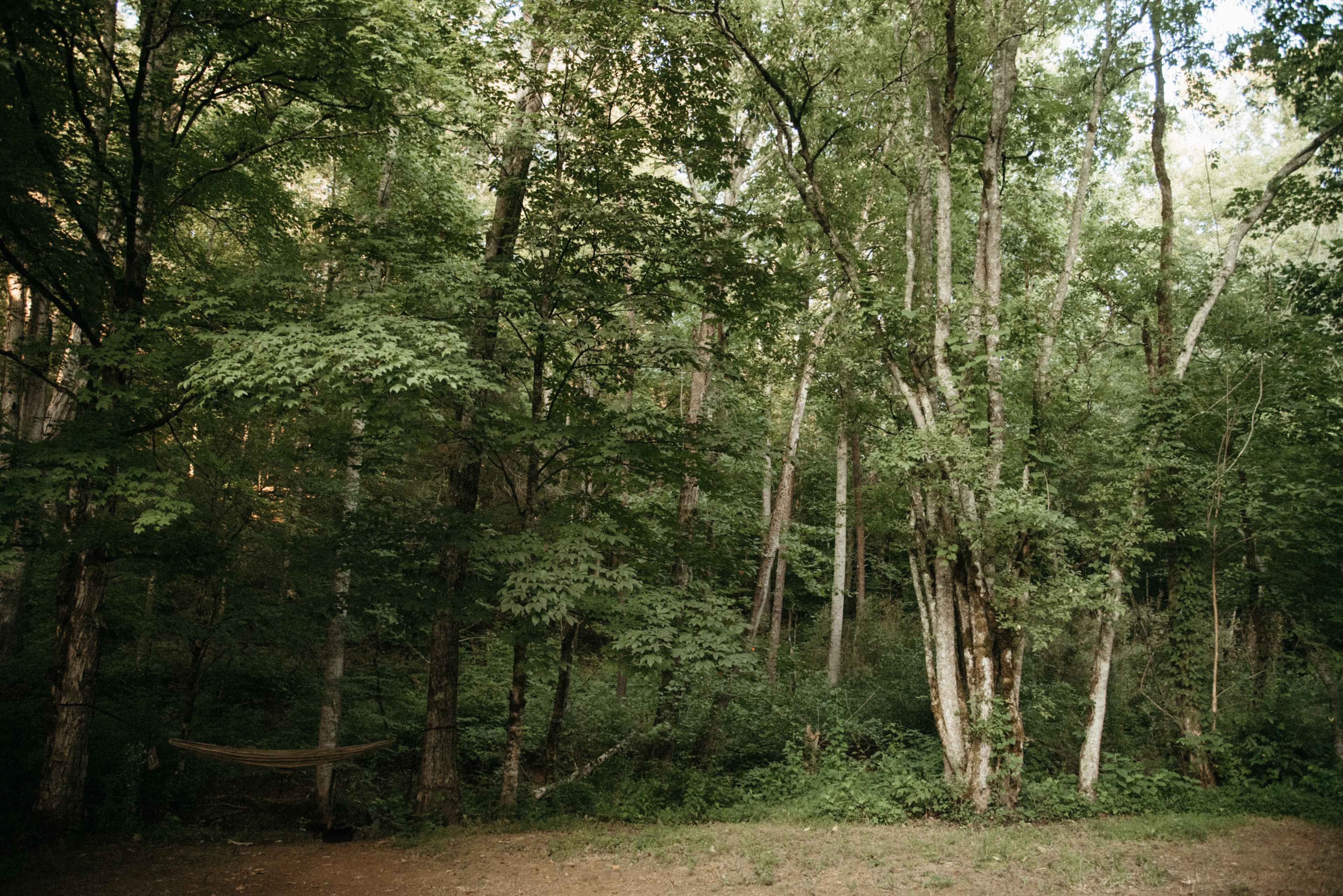 Nice wide group site backs right up to the creek. Plenty of privacy and space to spread out.