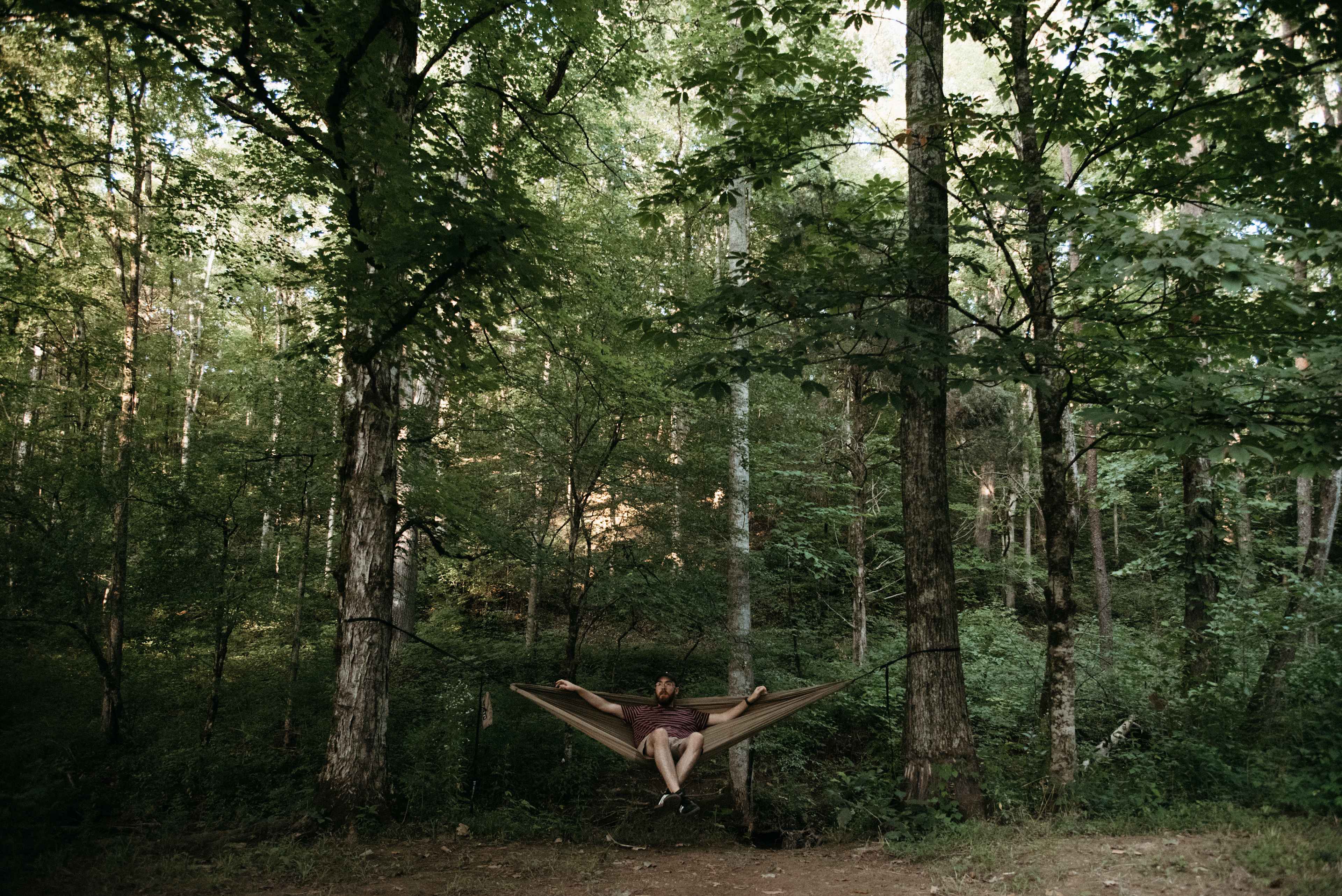 Plenty of space to hang up a couple hammocks or set up multiple tents!
