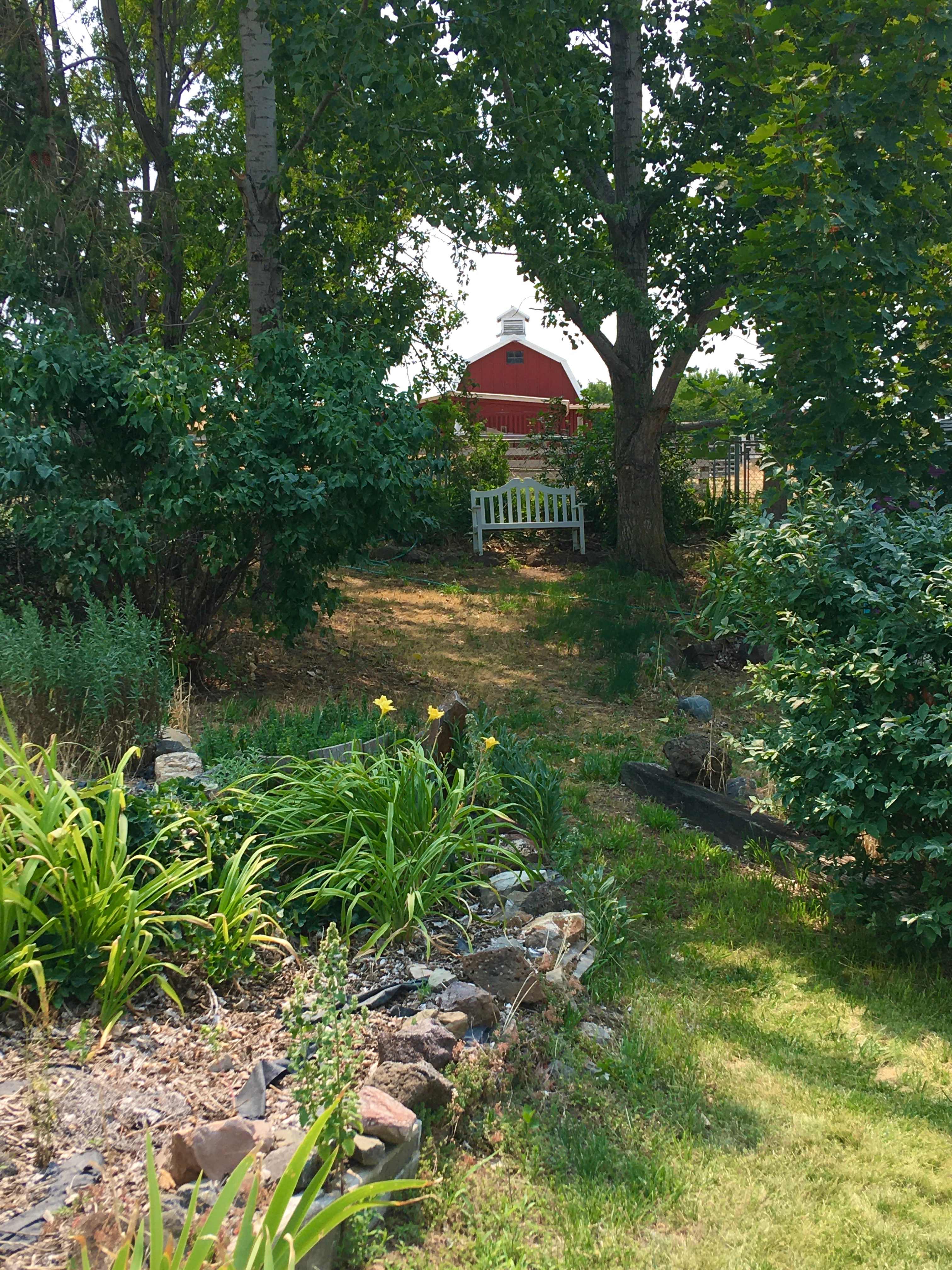 The shade garden.