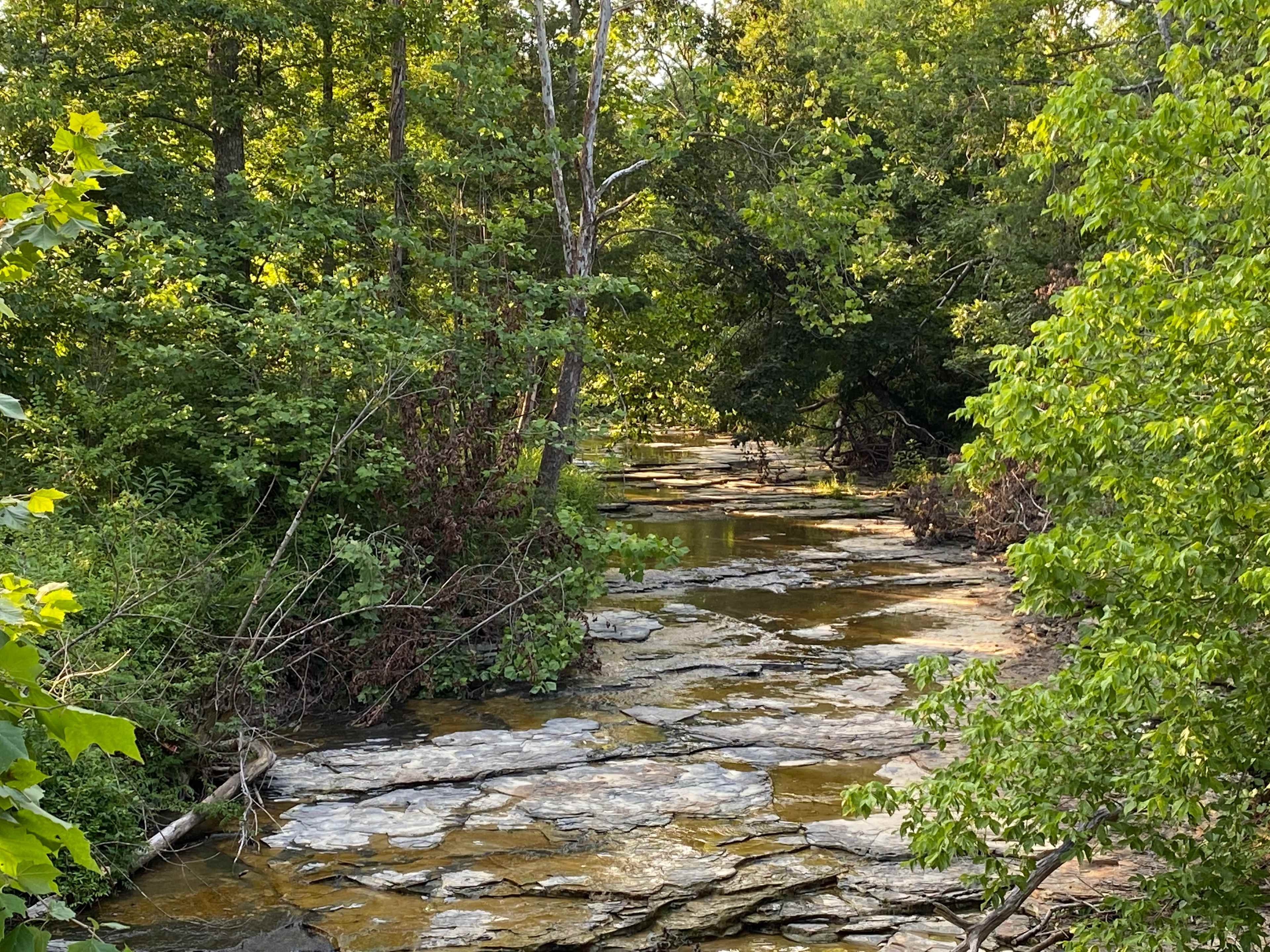 Red Haven Farm Rustic Camping