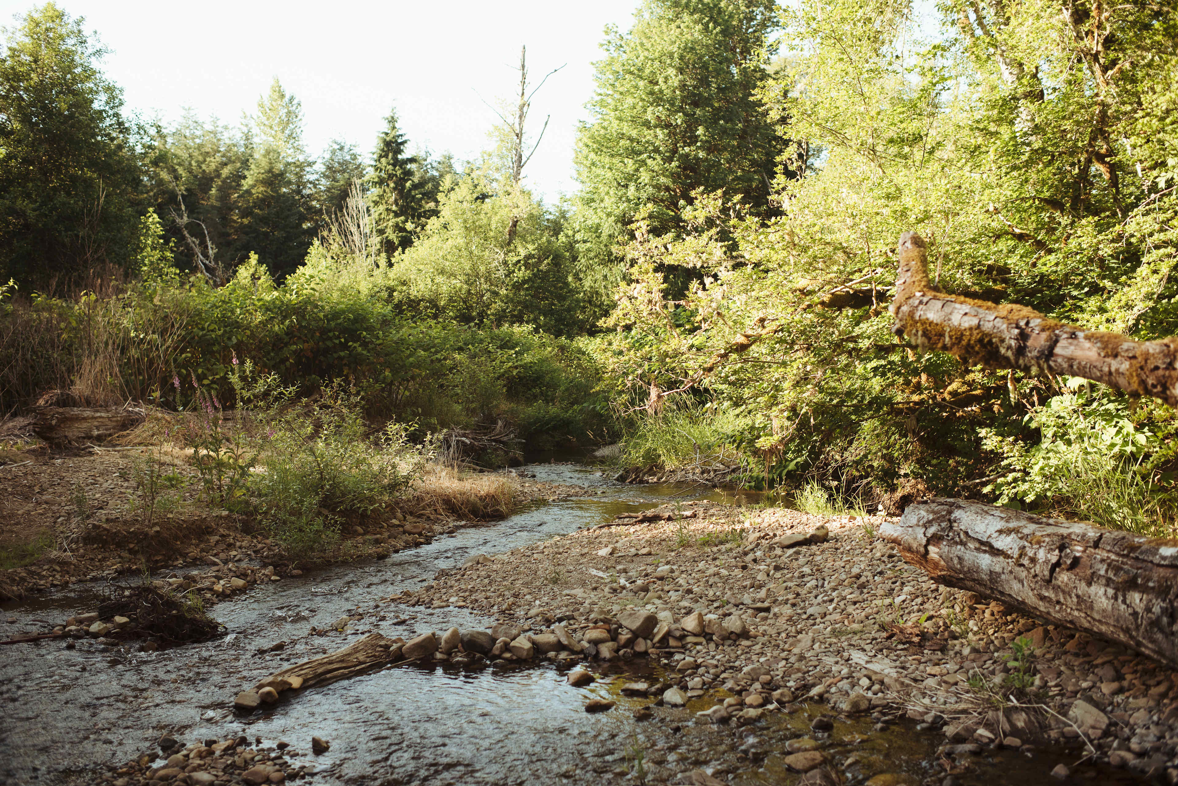 The creek feels very open.