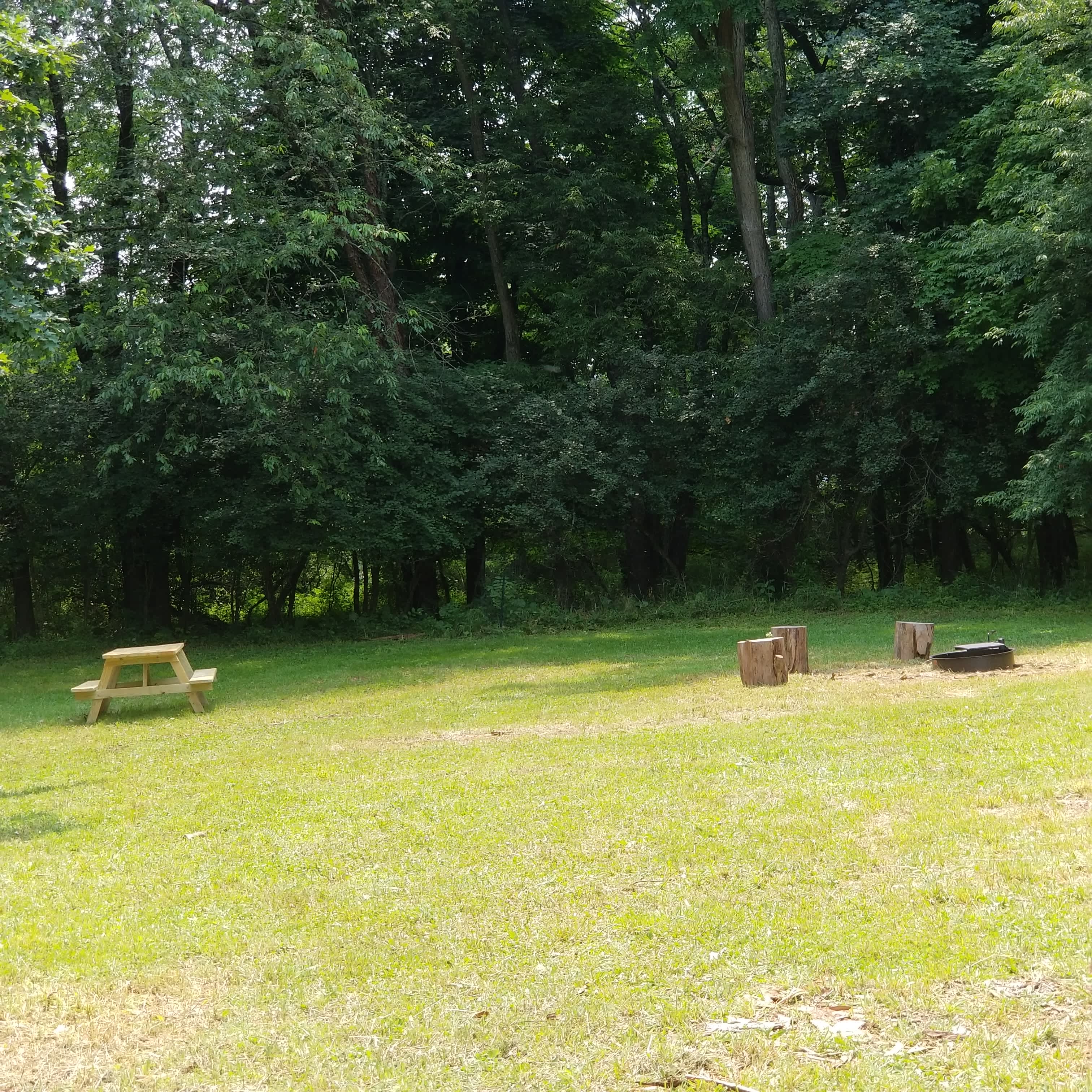 Apple Blossom Camp