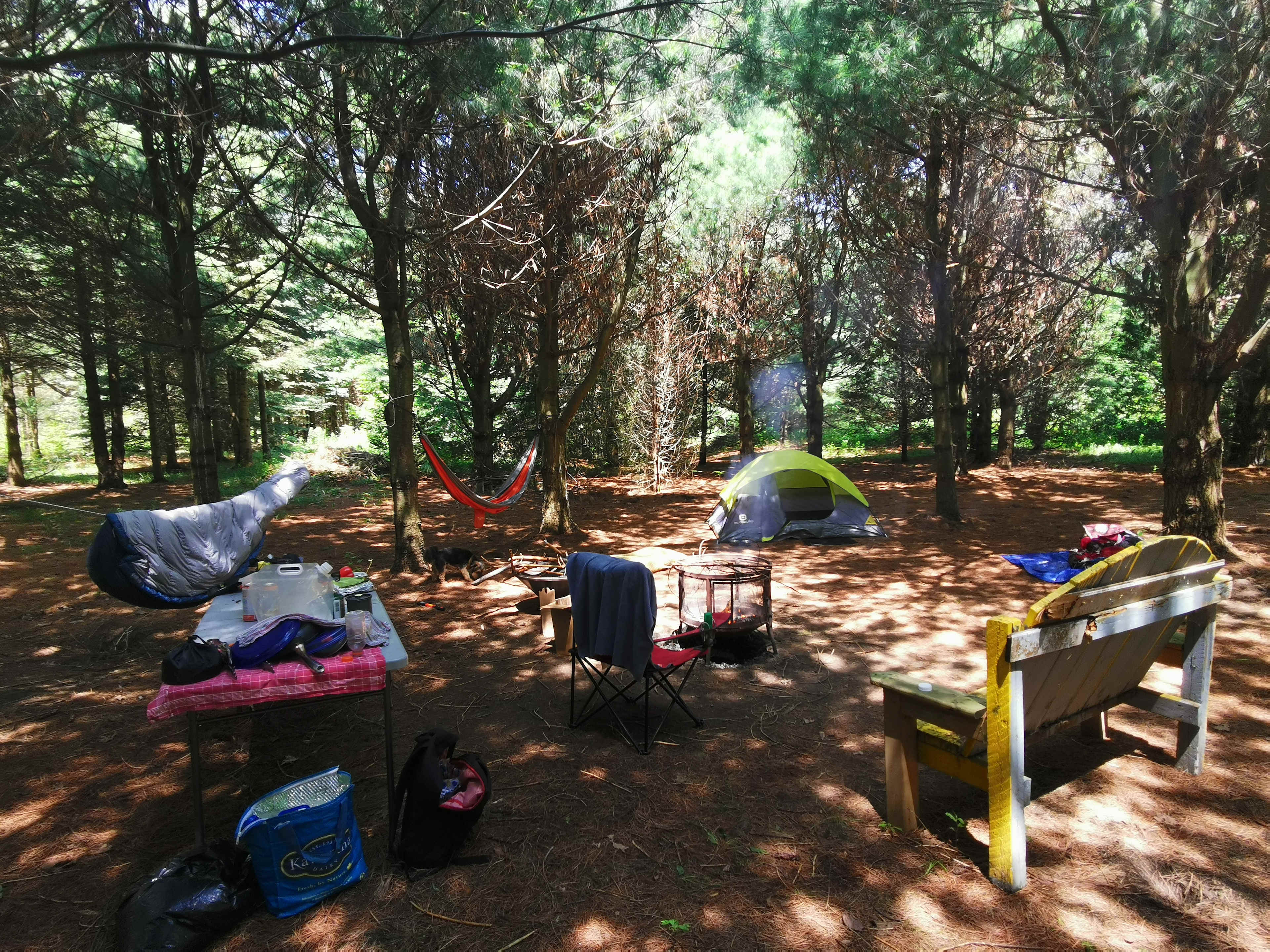 Picture of the site