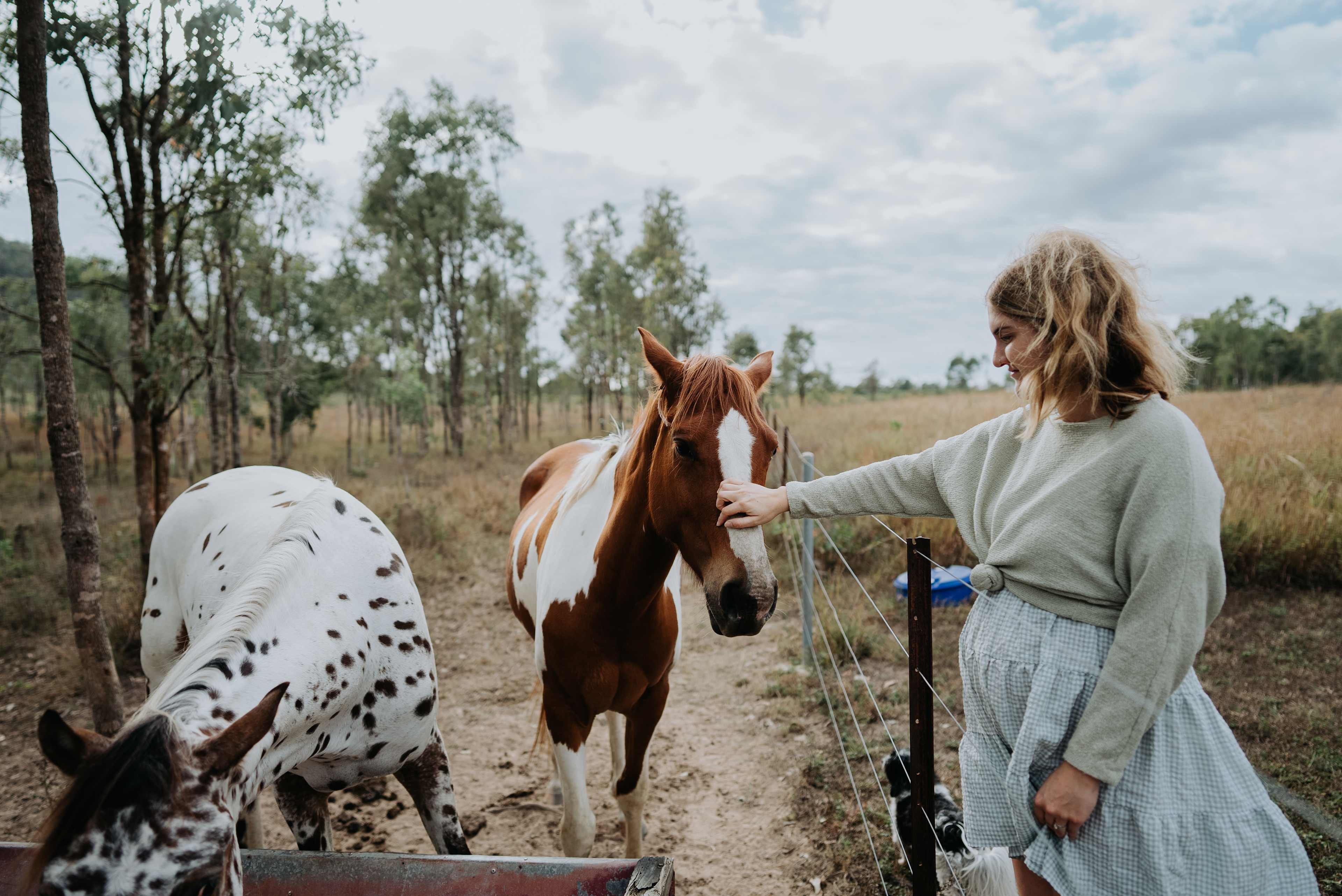 Meeting the horses
