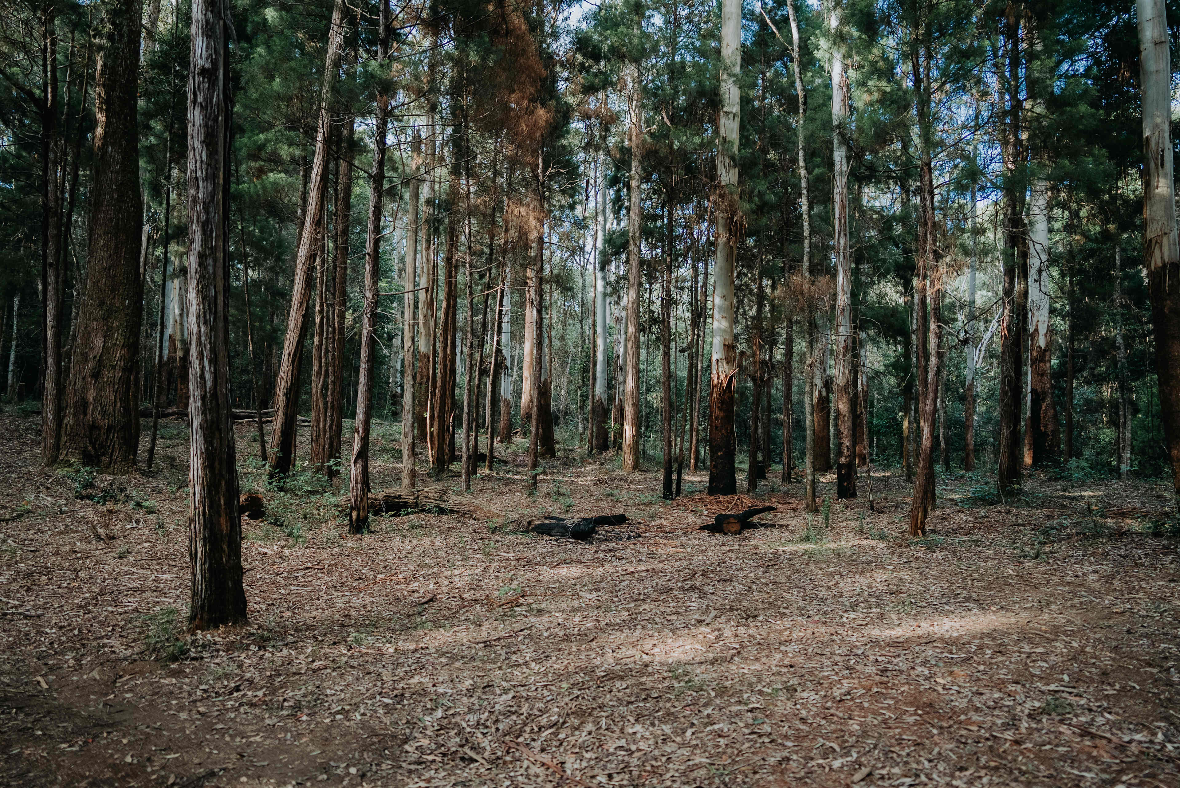 A look at the campsite