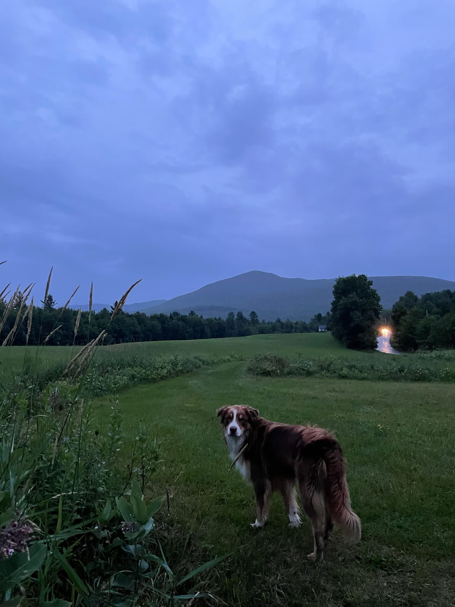 OneRiver Farm, Lincoln, Vermont
