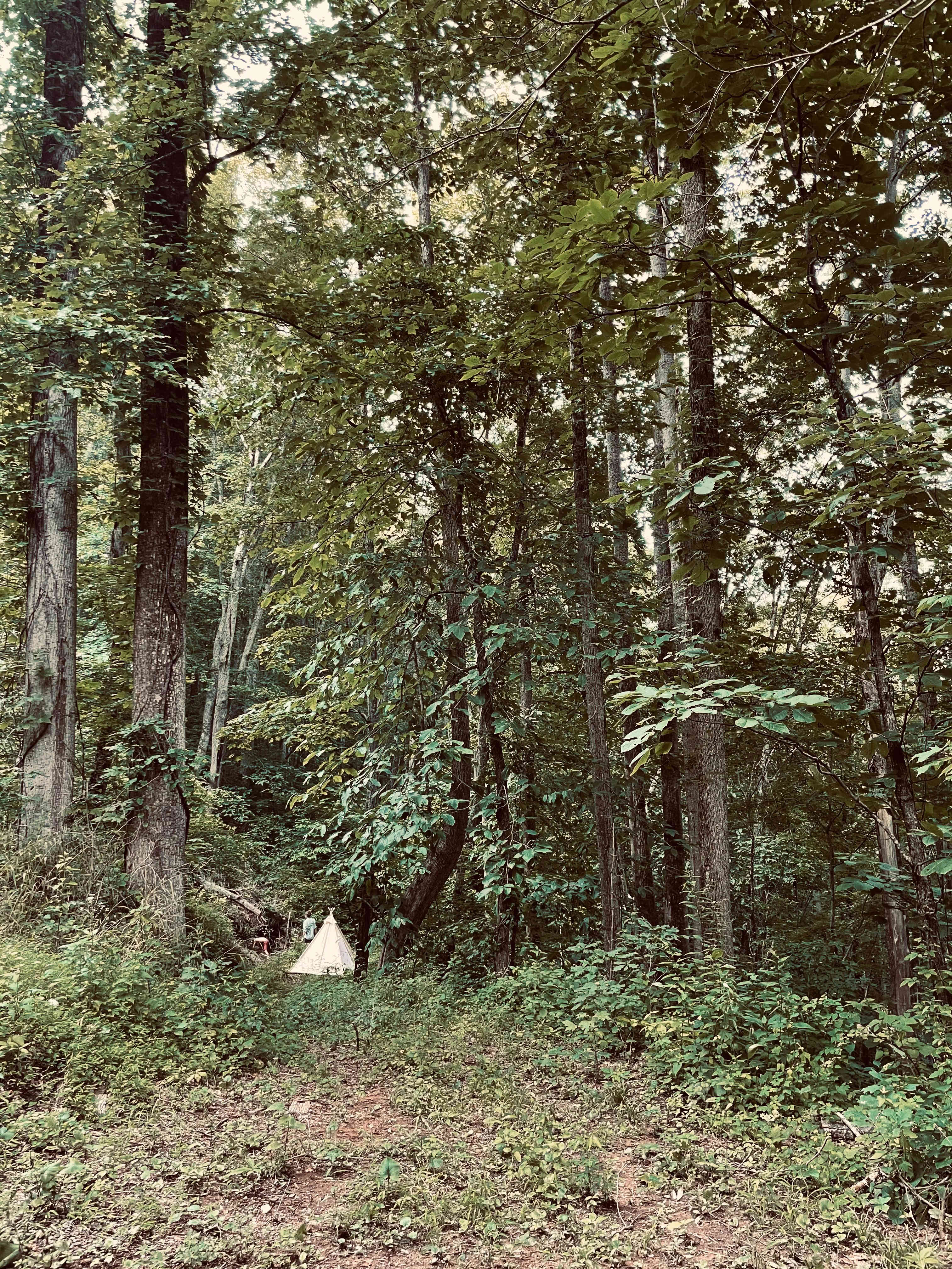 from the parking area