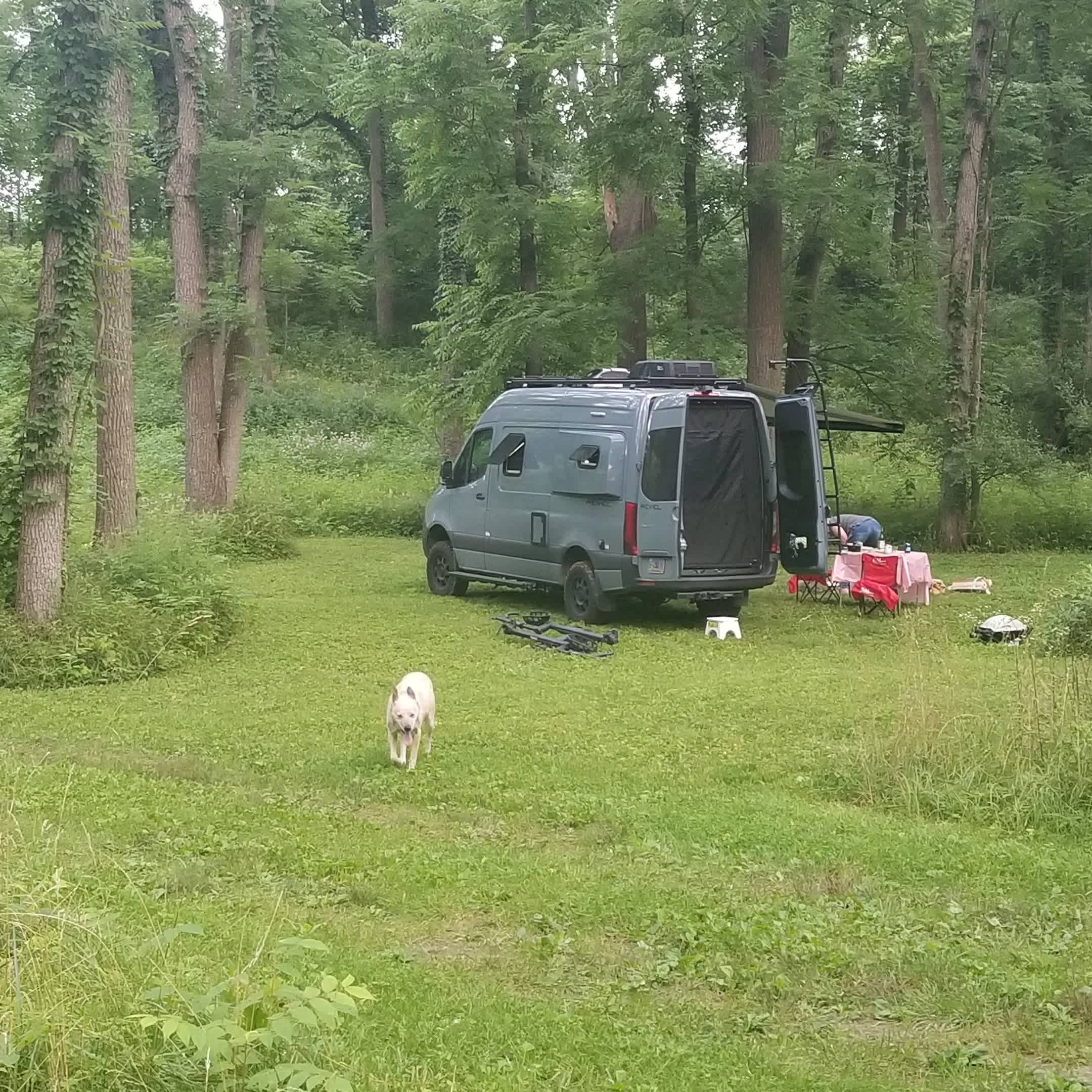 Picture of the site
