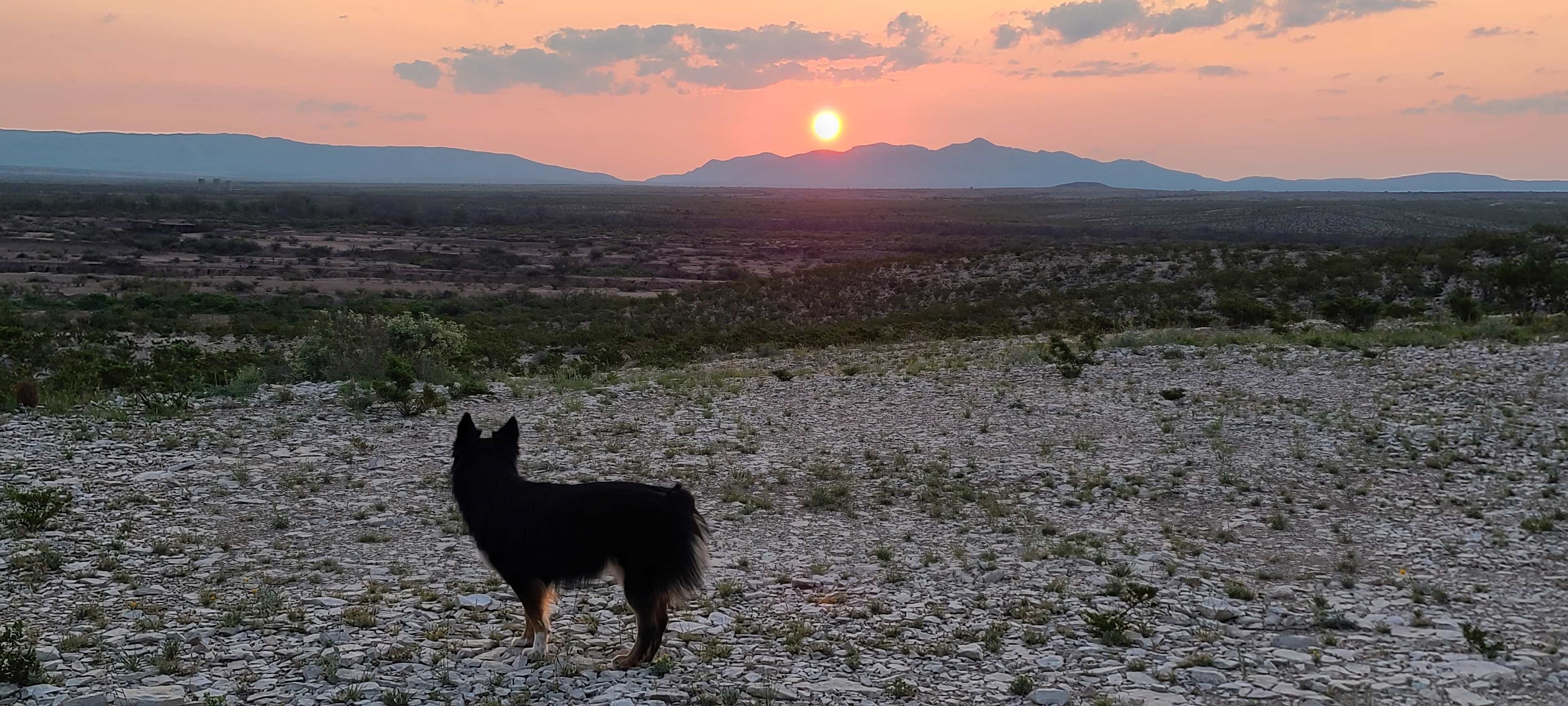 View of the Del Norte Mountains from Saddletramp Ranch