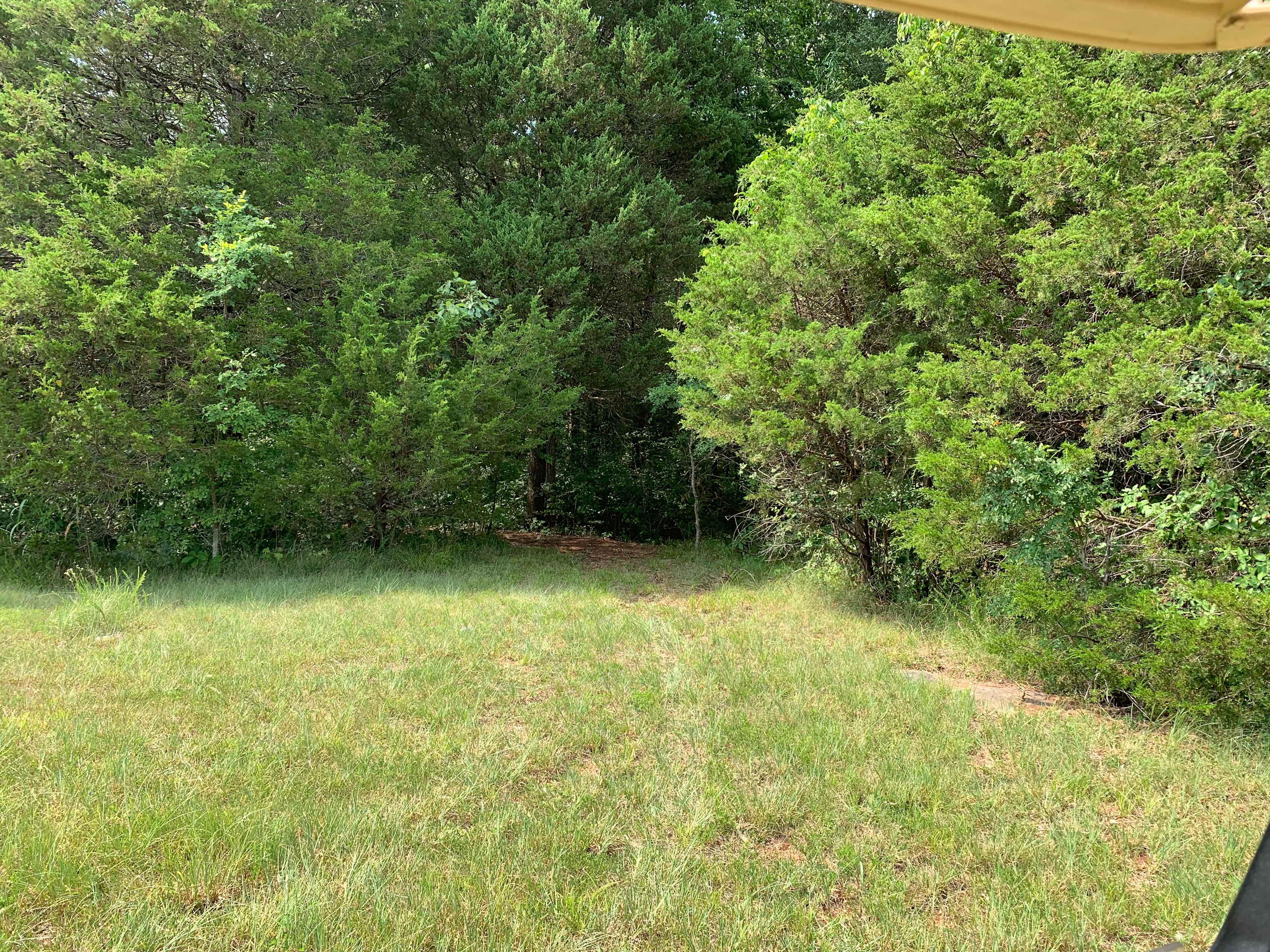Nooks in tree line site 2