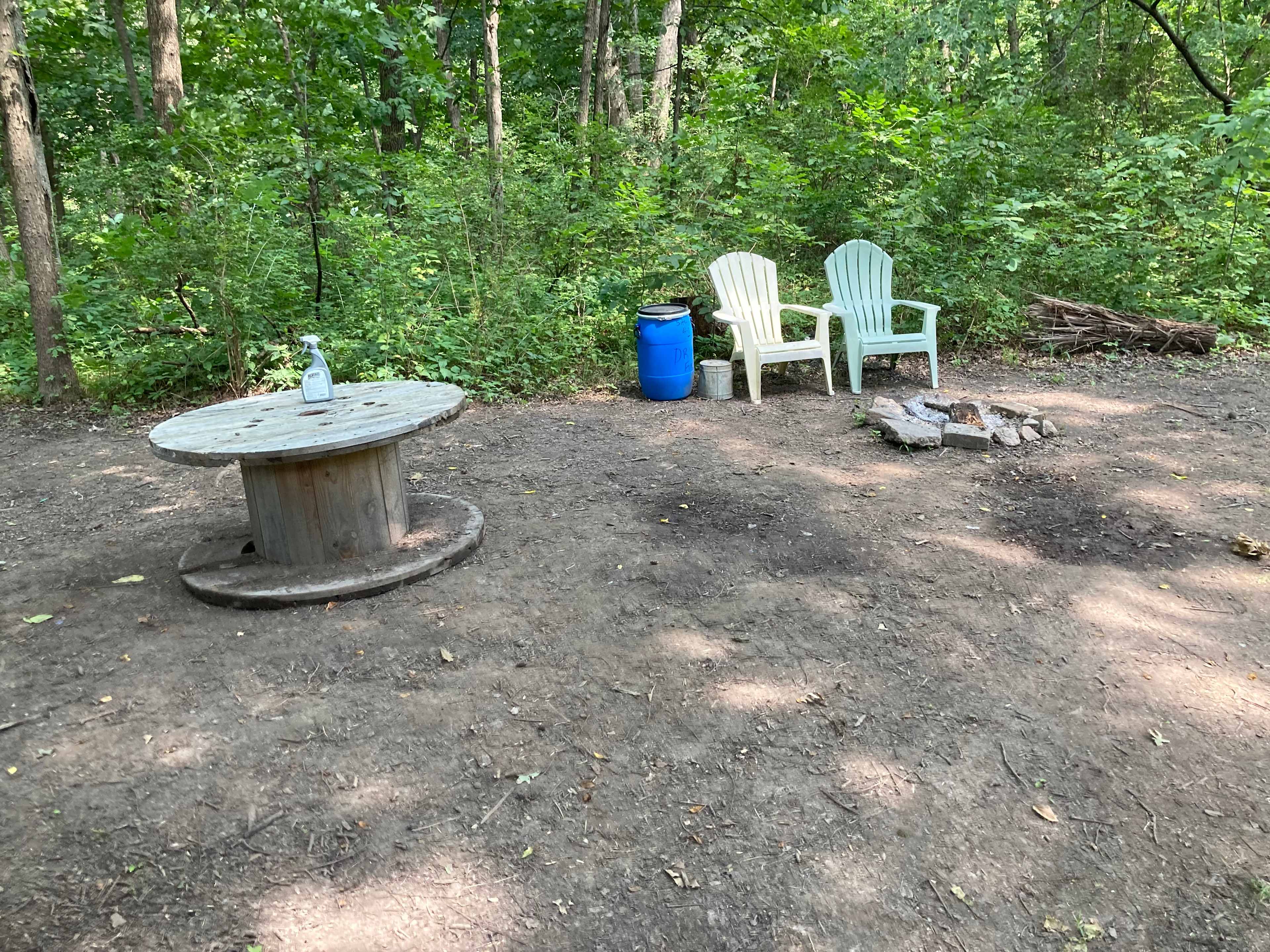 Picture of the site
