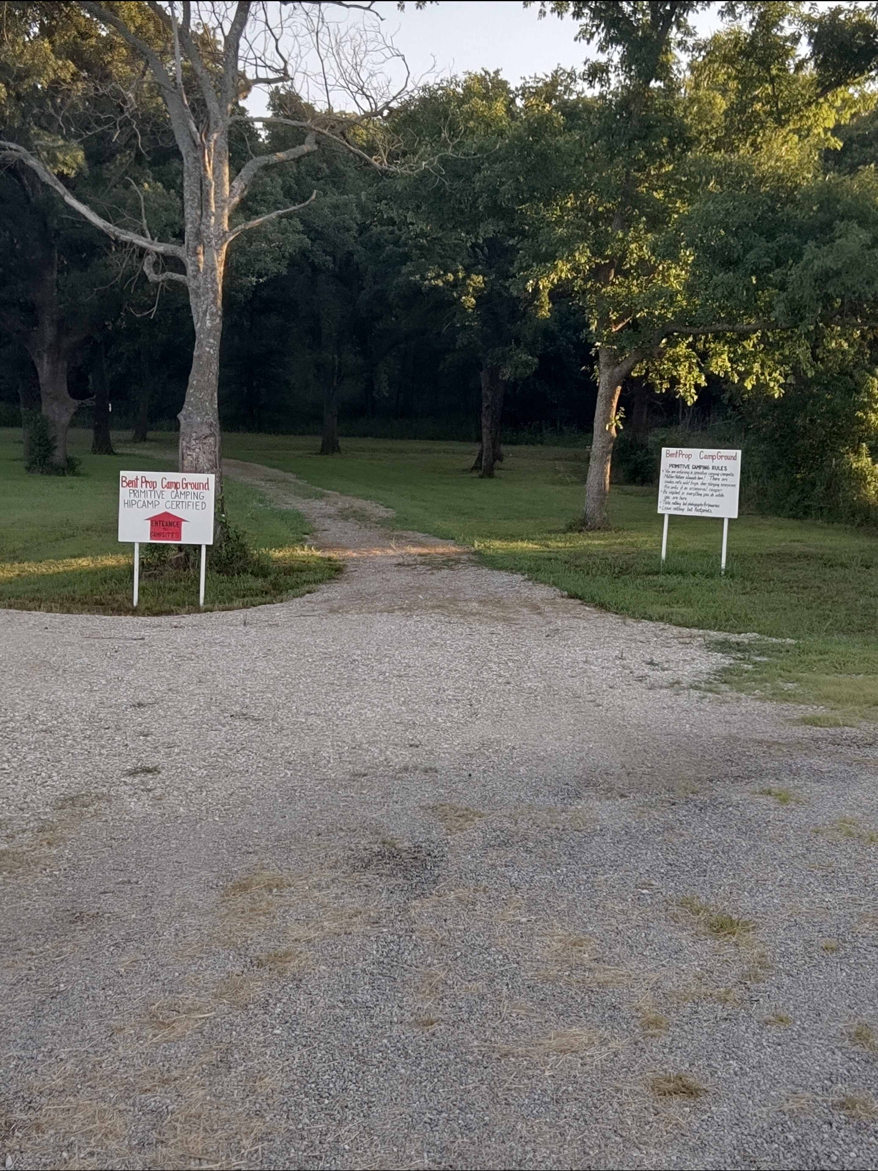 Picture of the site
