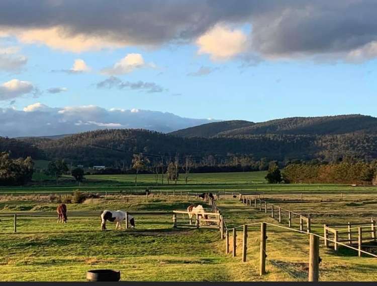 The ever changing view from your Caravan/Tent/Float 