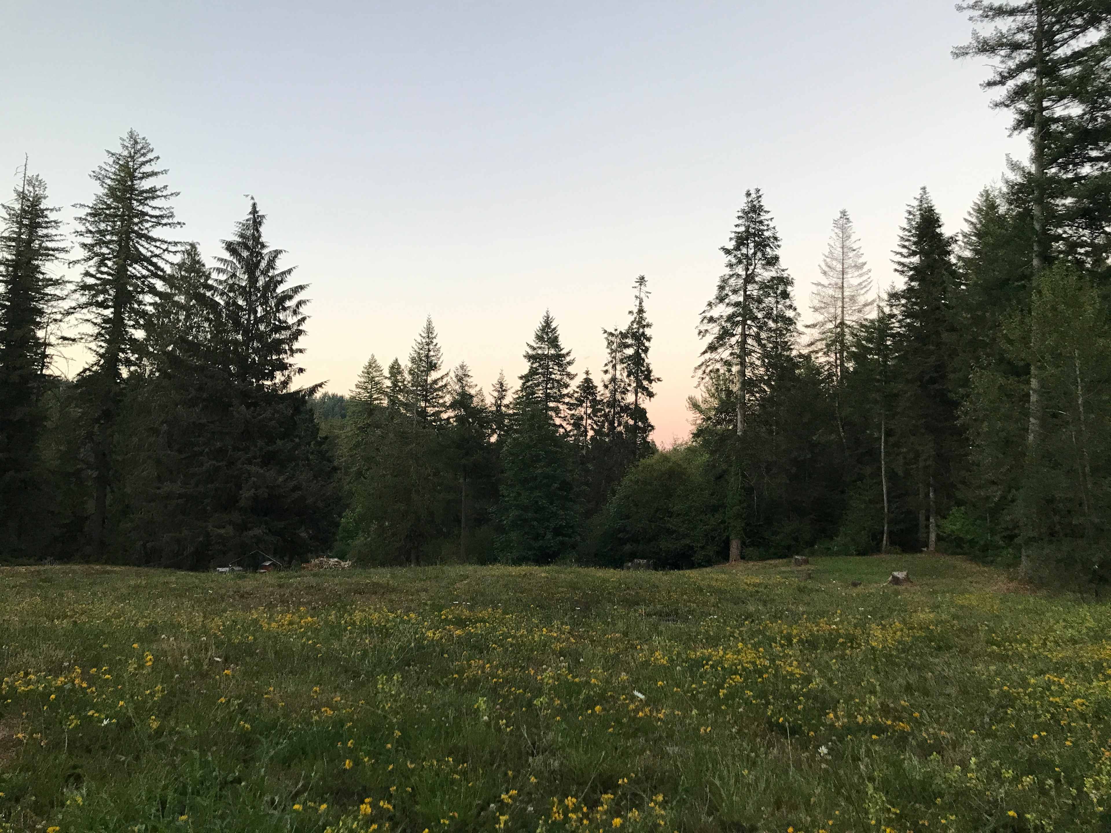 River Mountain Meadow