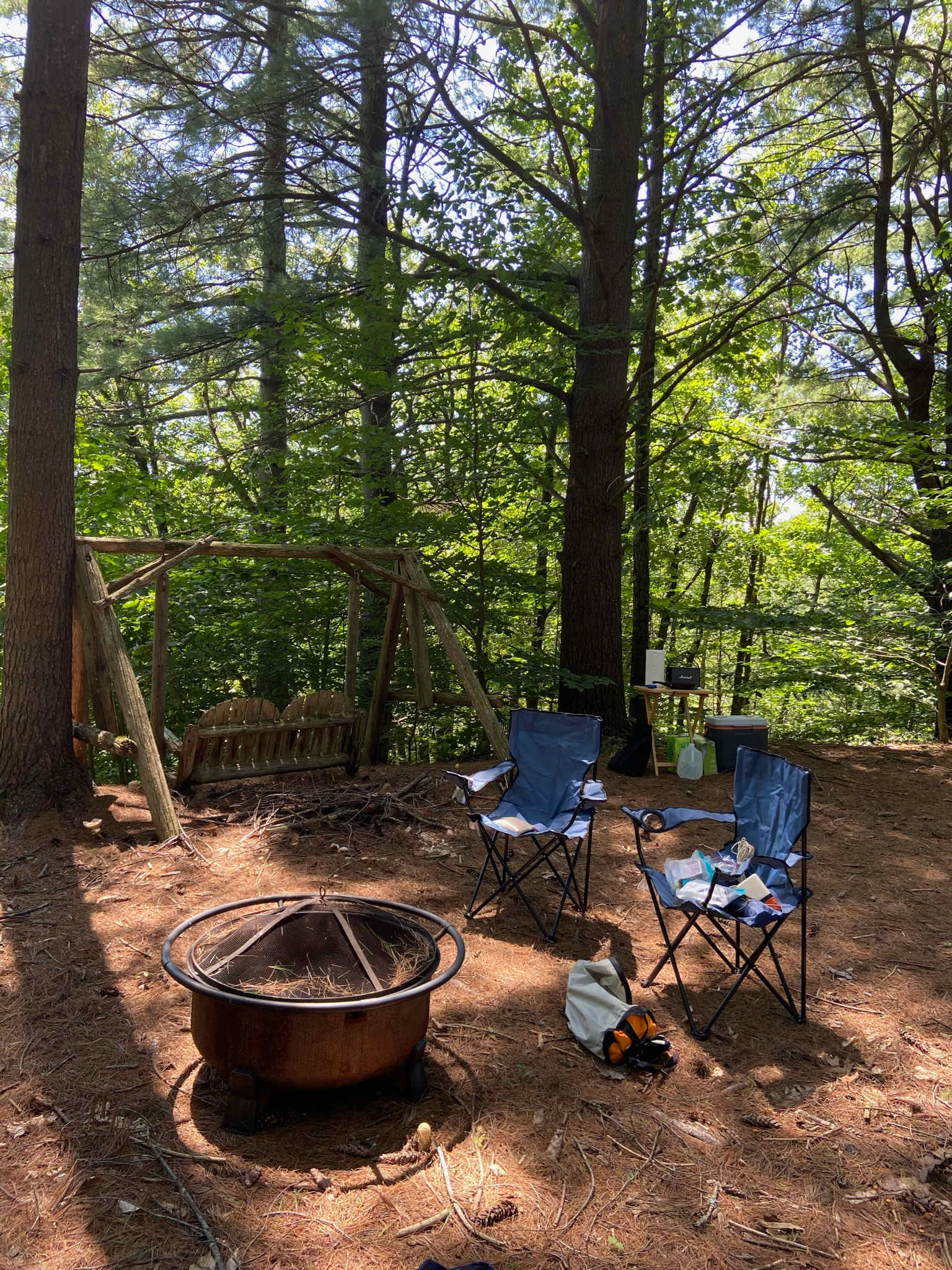 Picture of the site