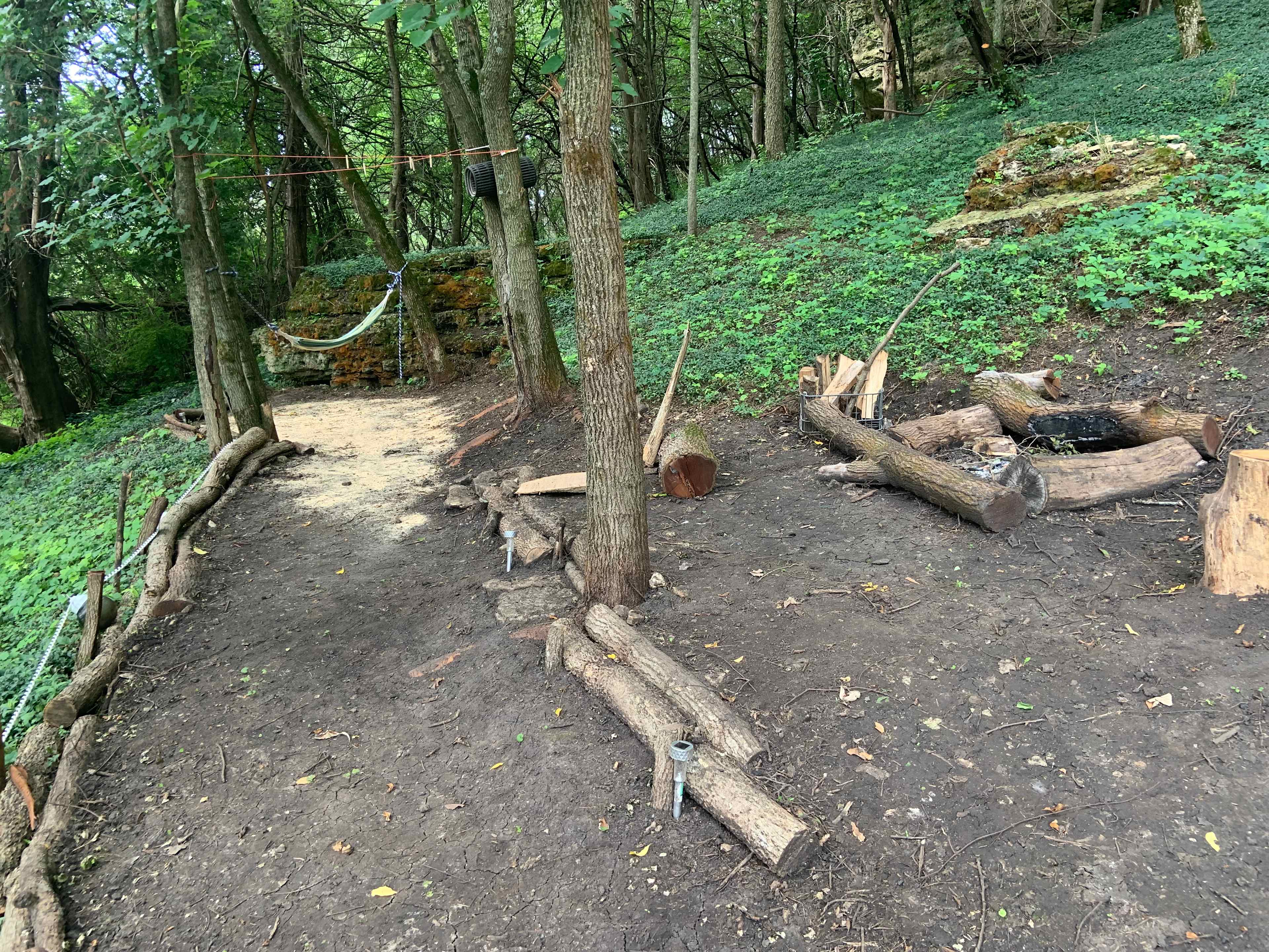 Picture of the site