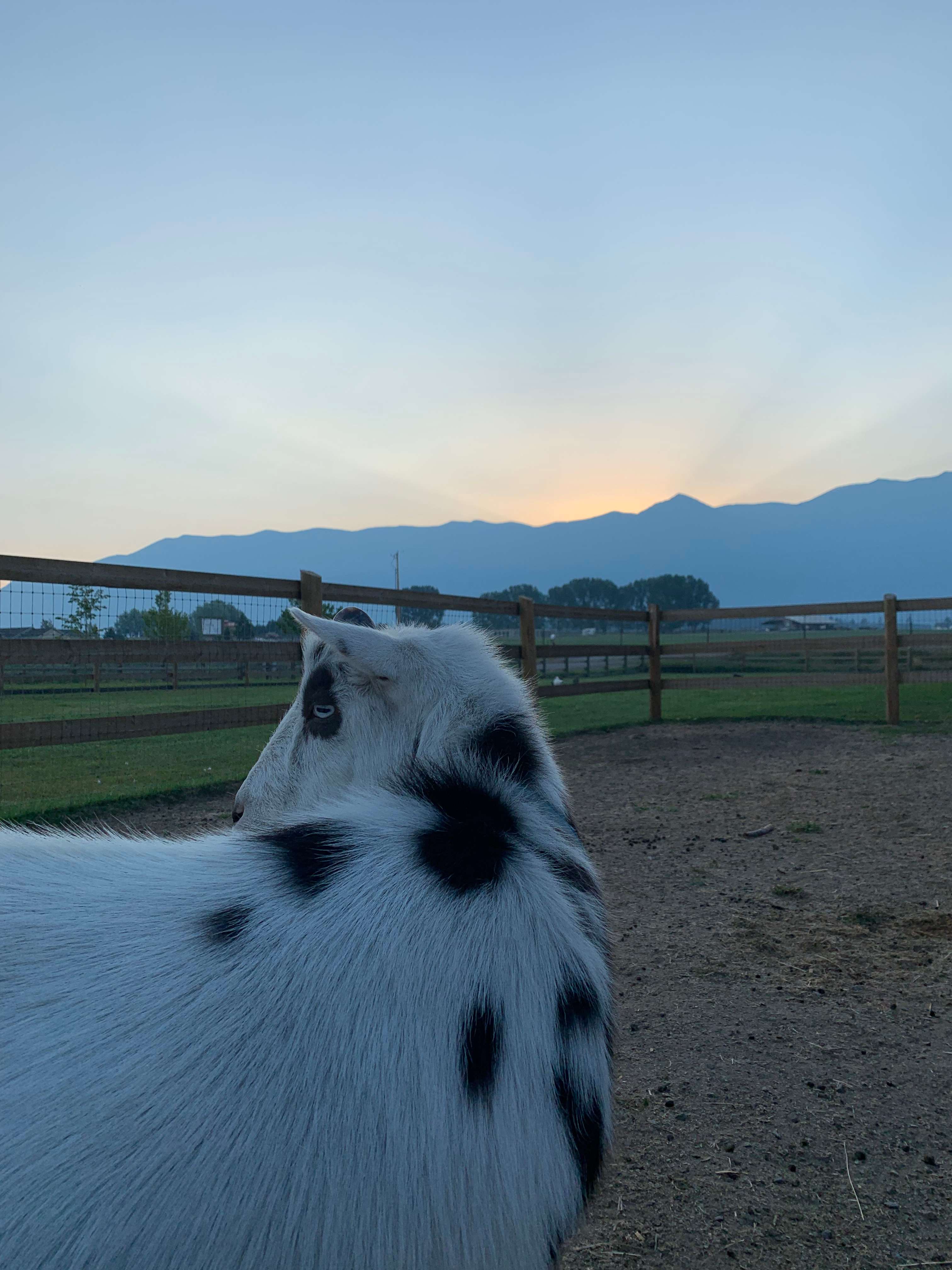 Firefly Horse Co Retreat Farm