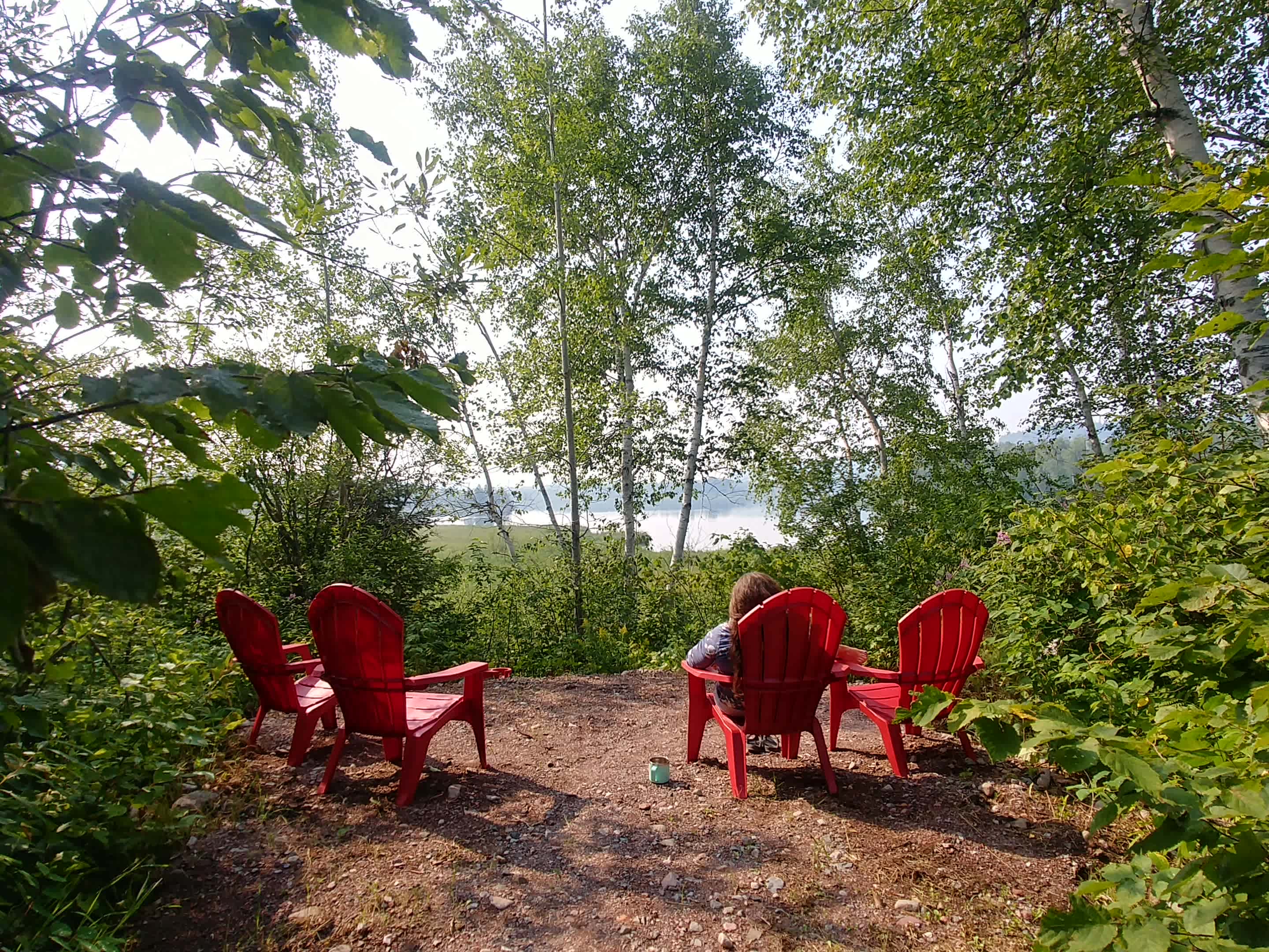 Picture of the site