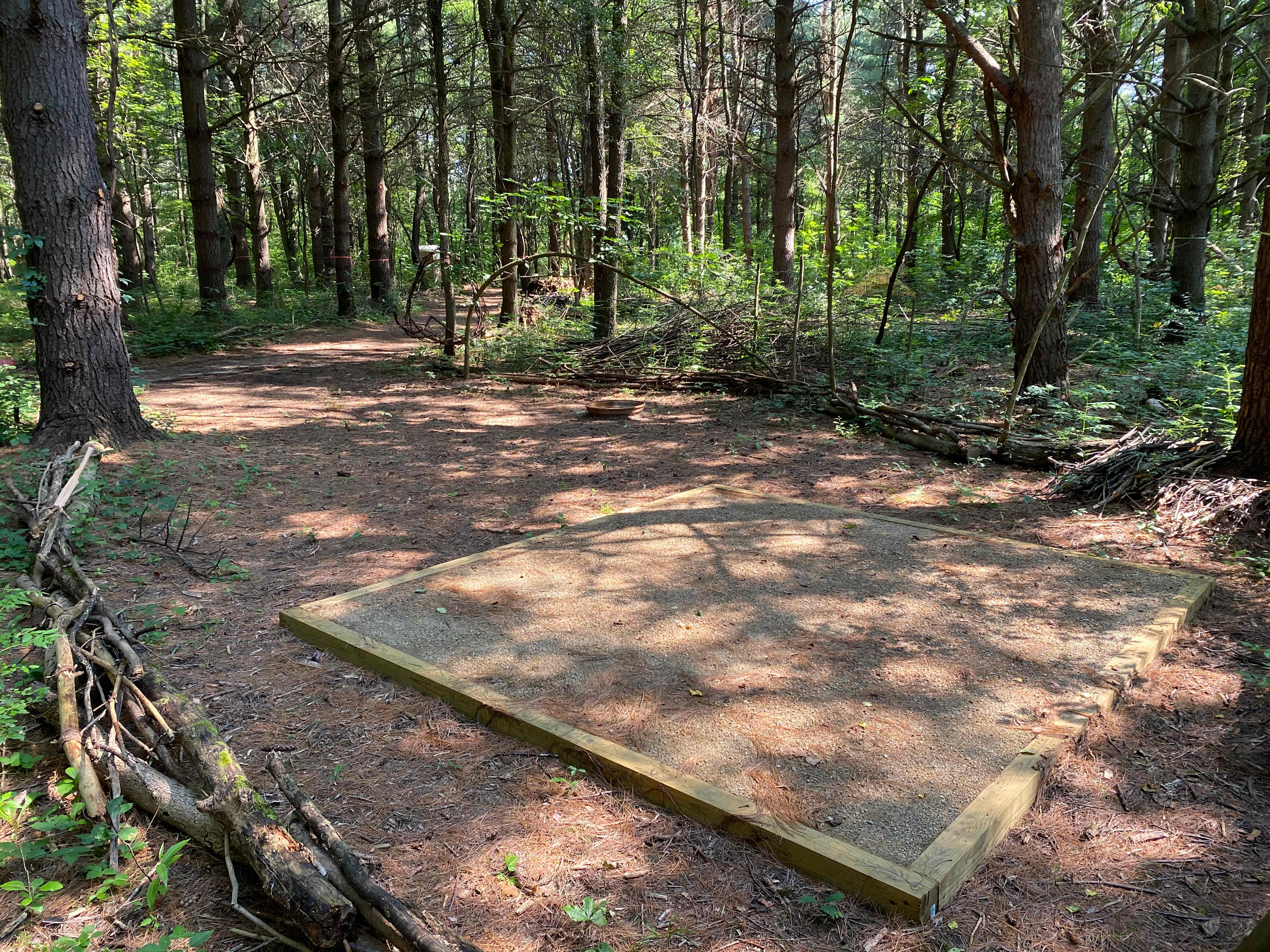 Picture of the site