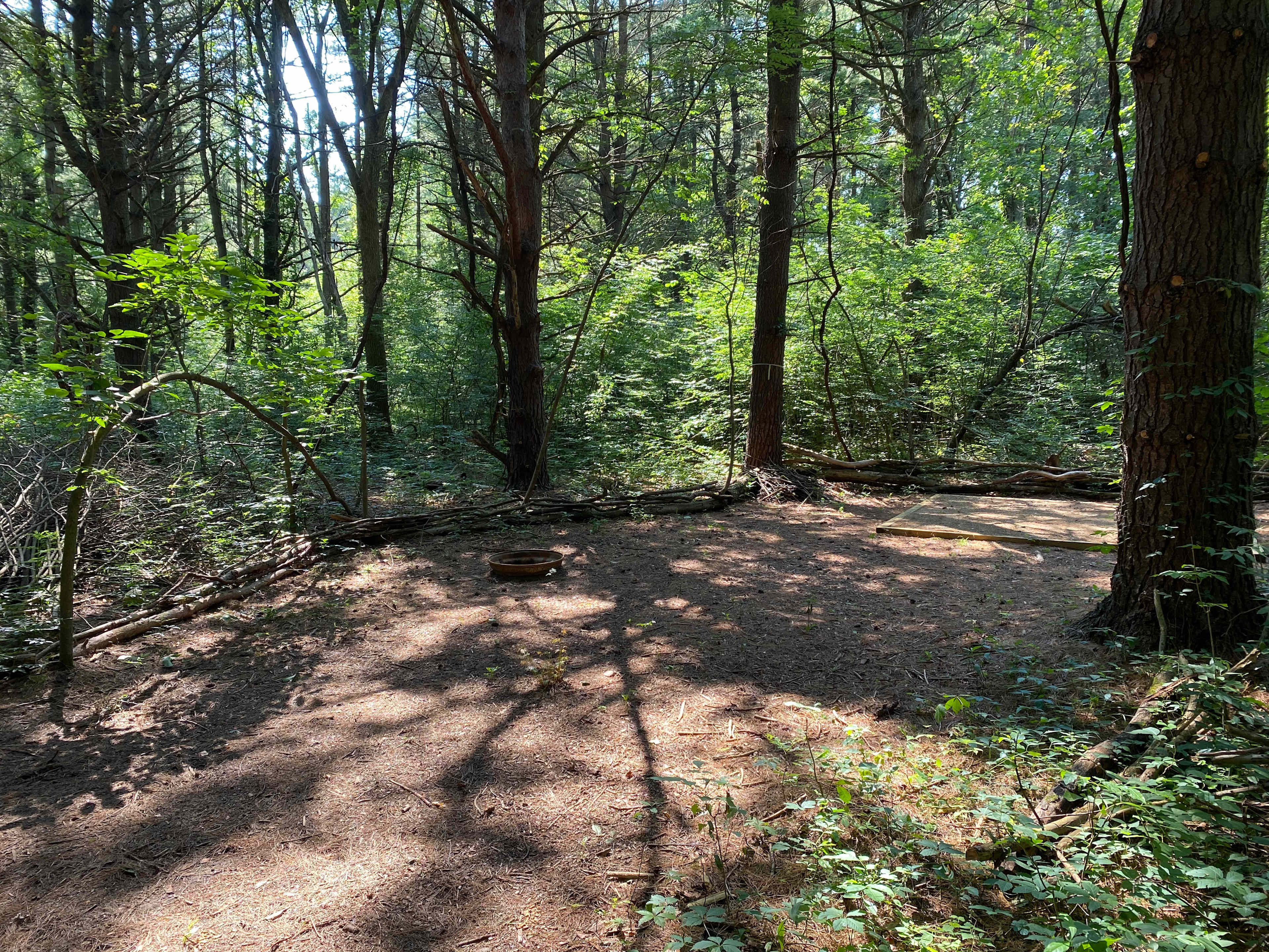 Picture of the site