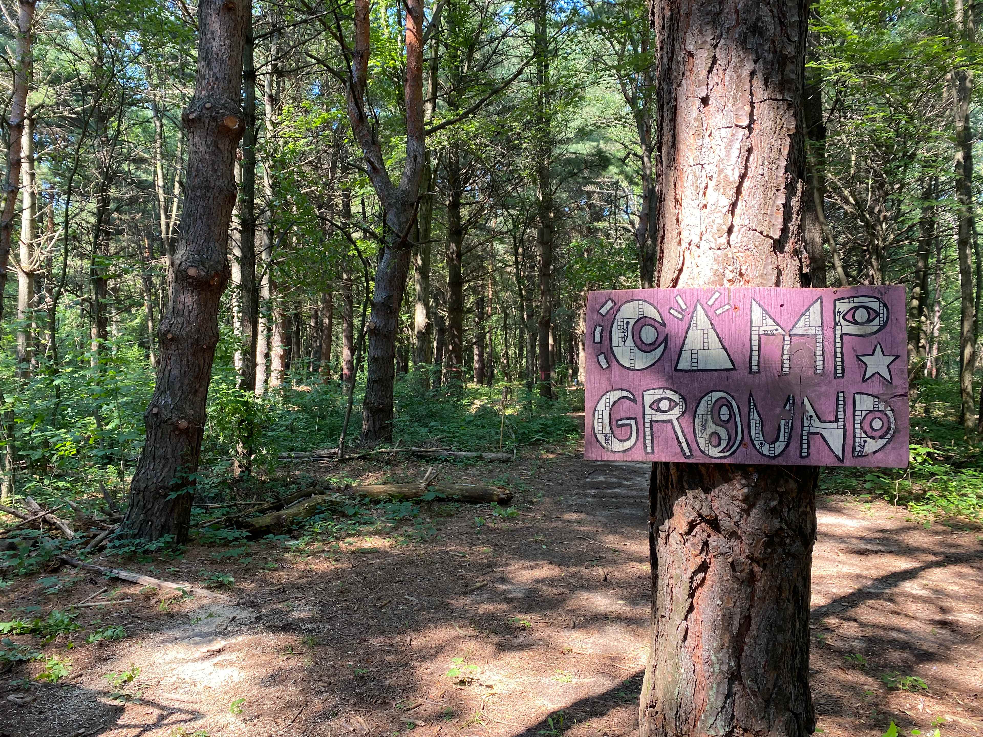 Picture of the site