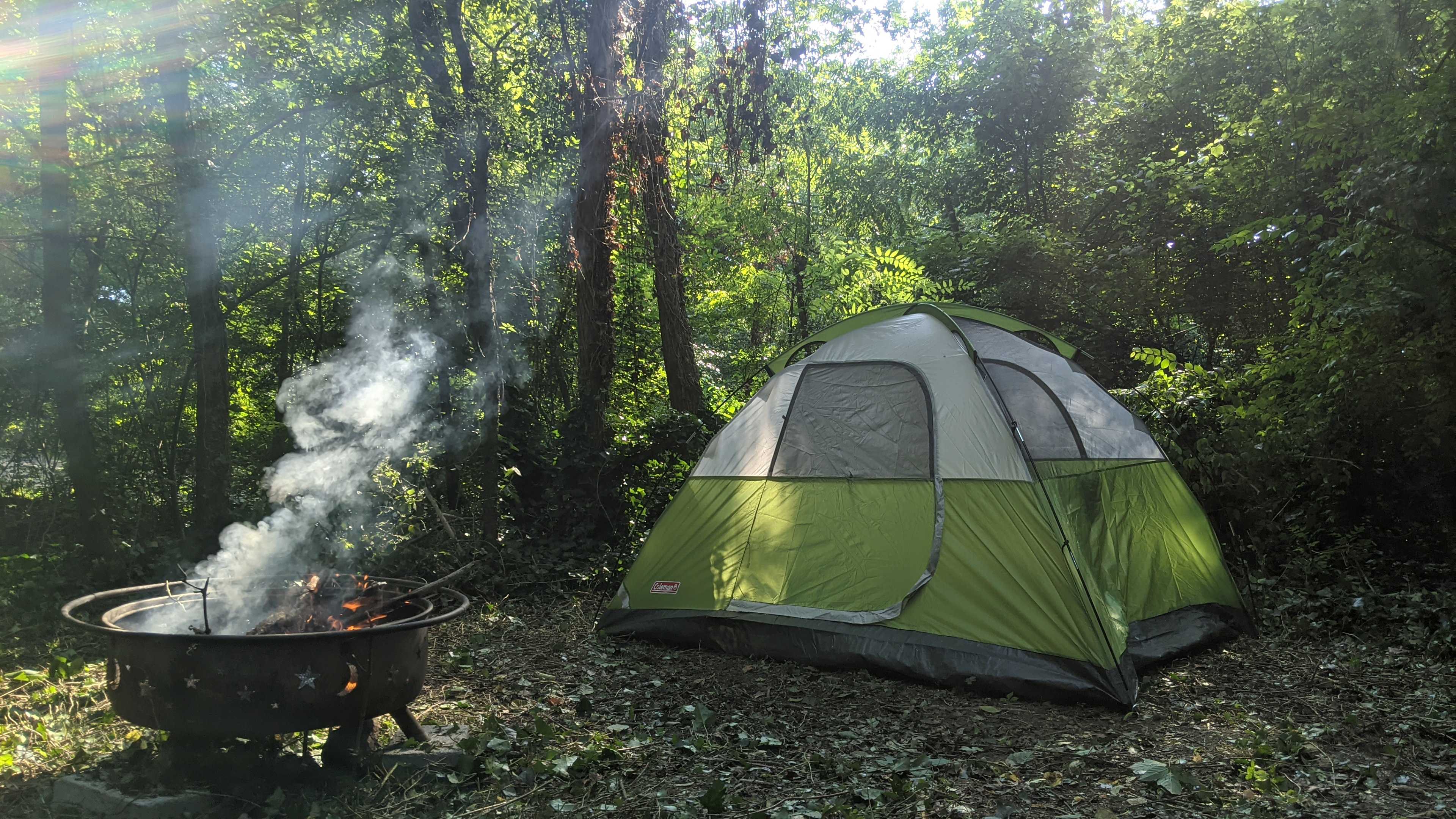 Forest Pocket near Chattanooga