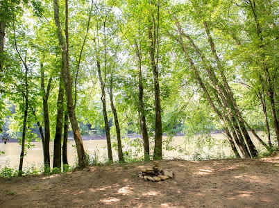 Picture of the site
