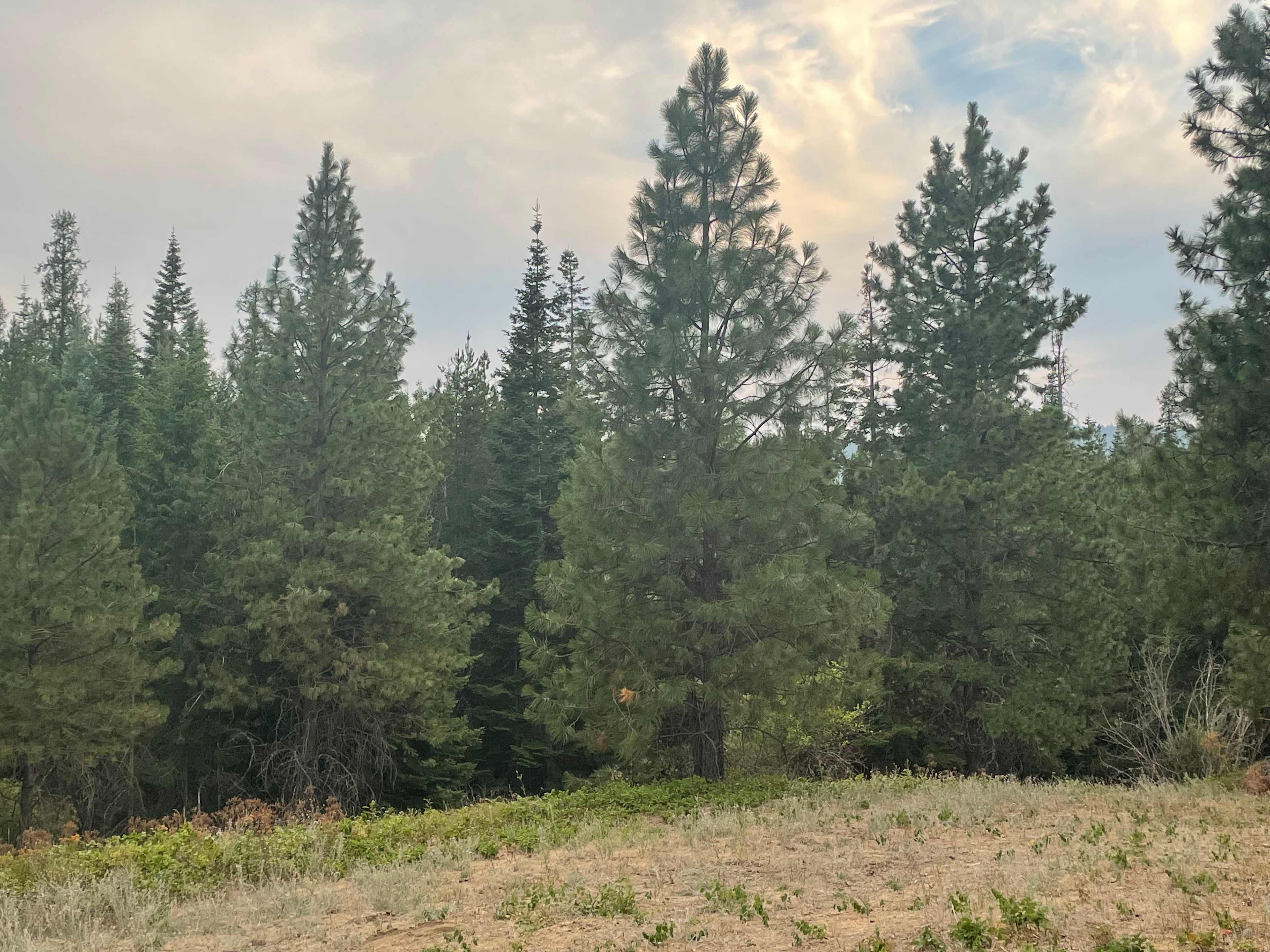 White’s Lodge Campground