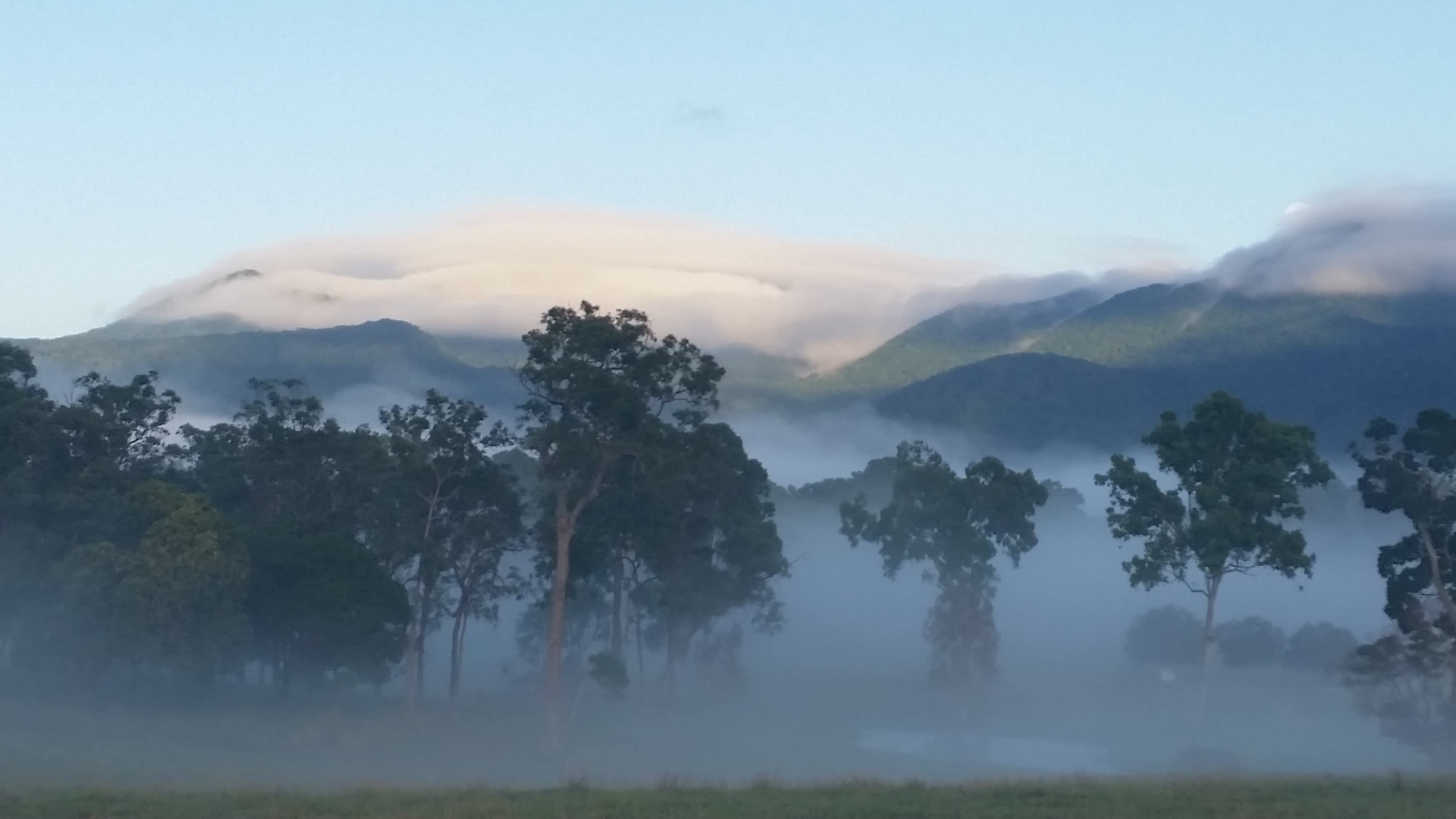 Mist over the valley