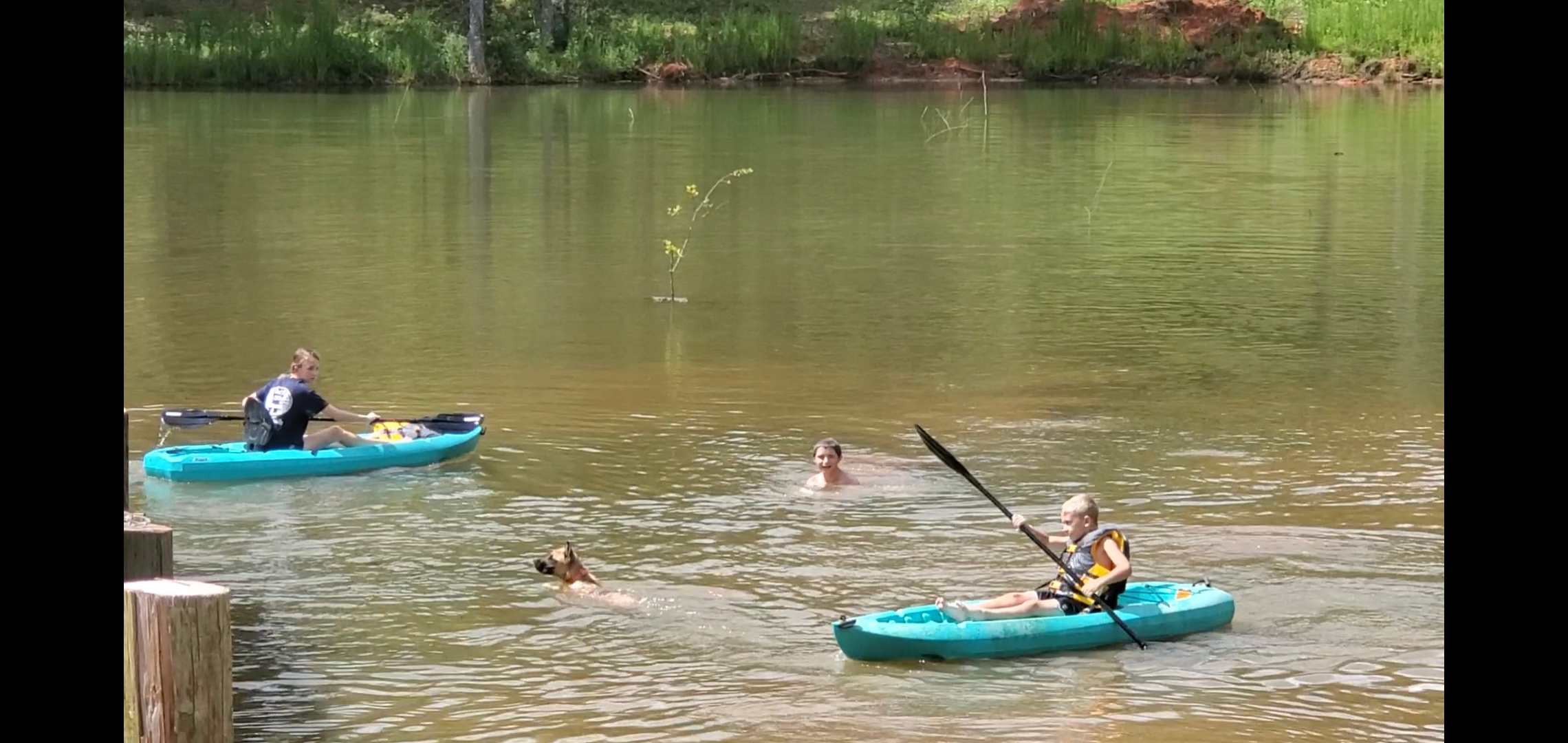 Back Forty Camping