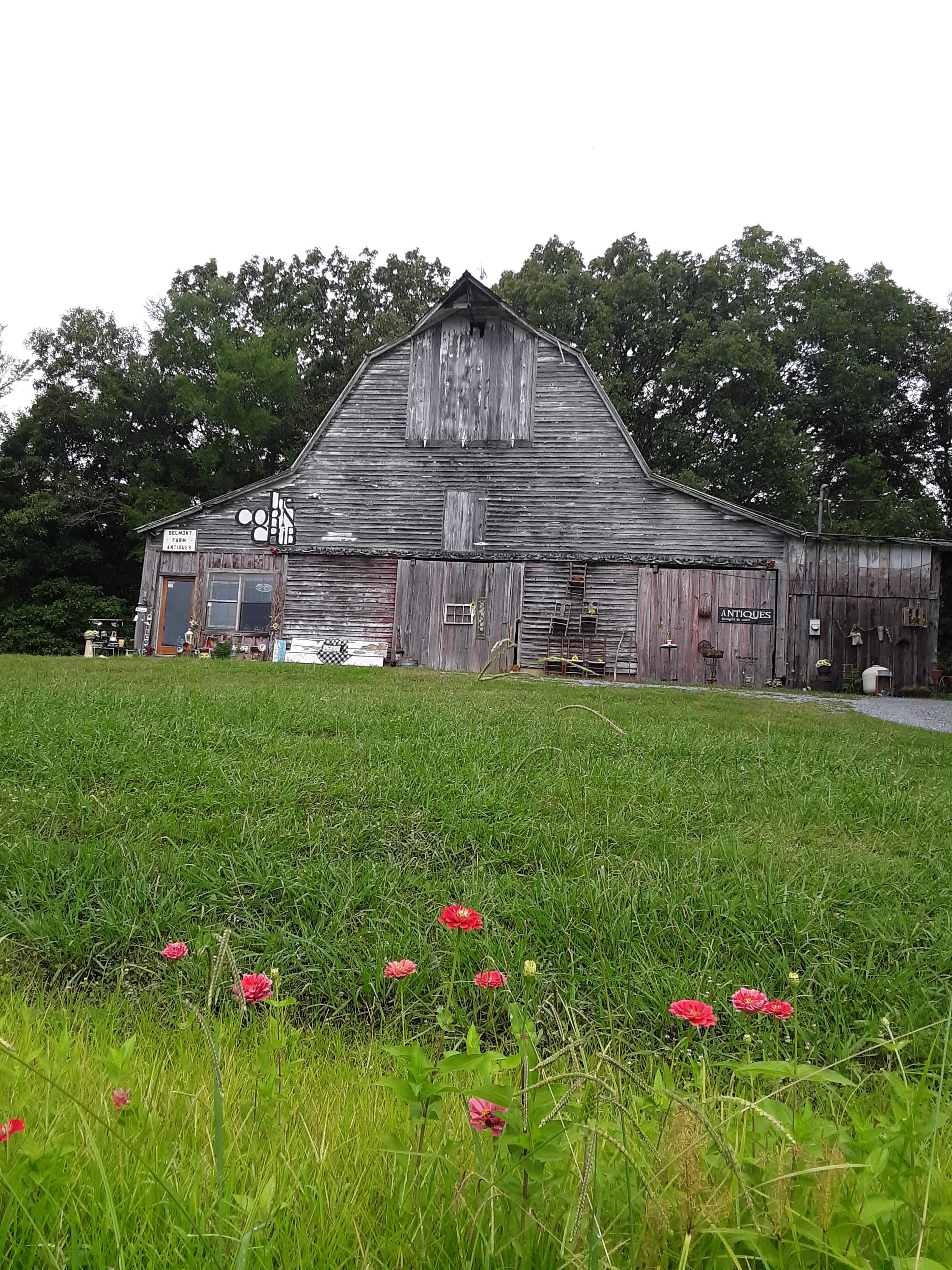 The barn Antiques inside that are for sale 