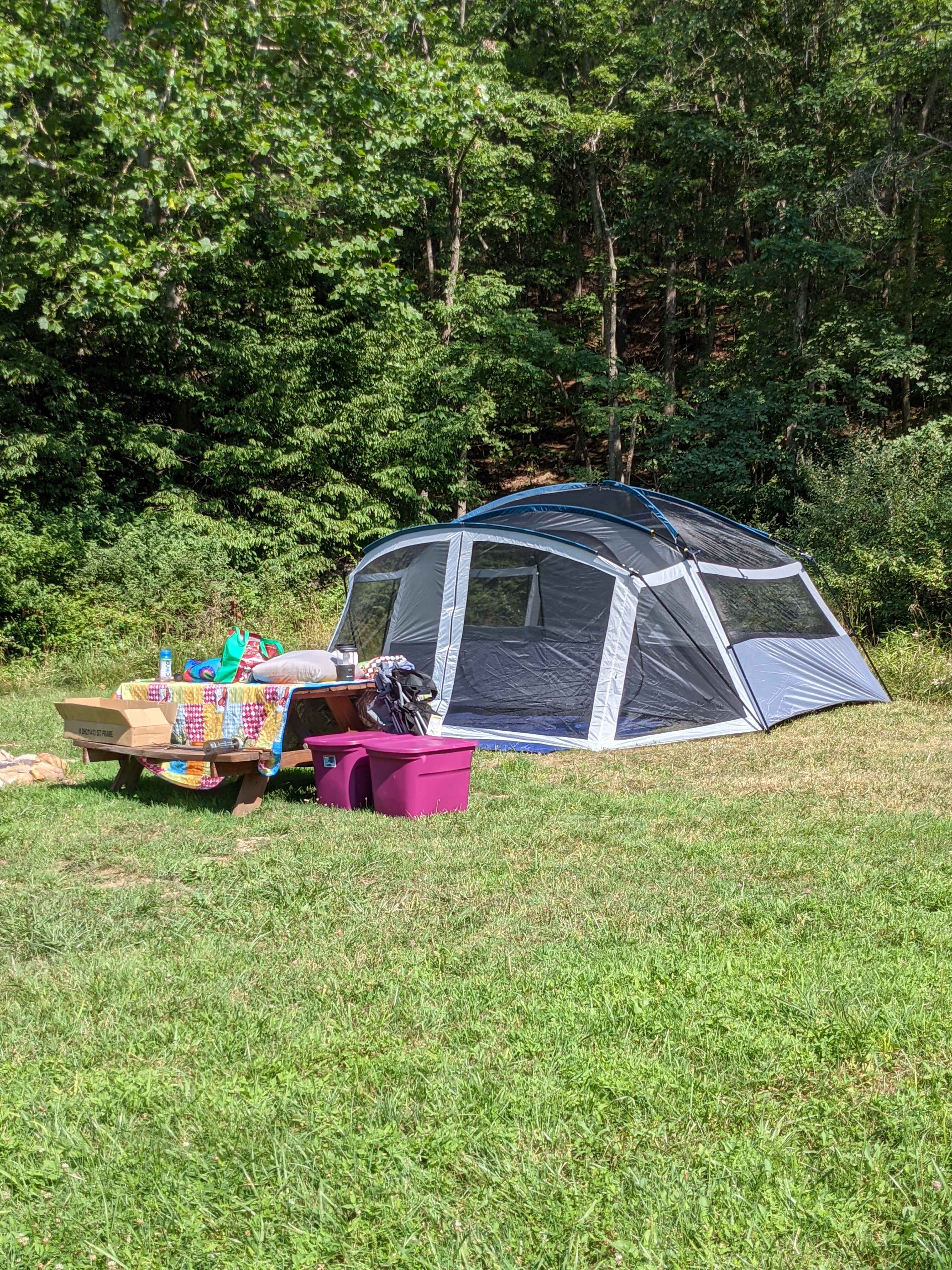 Picture of the site