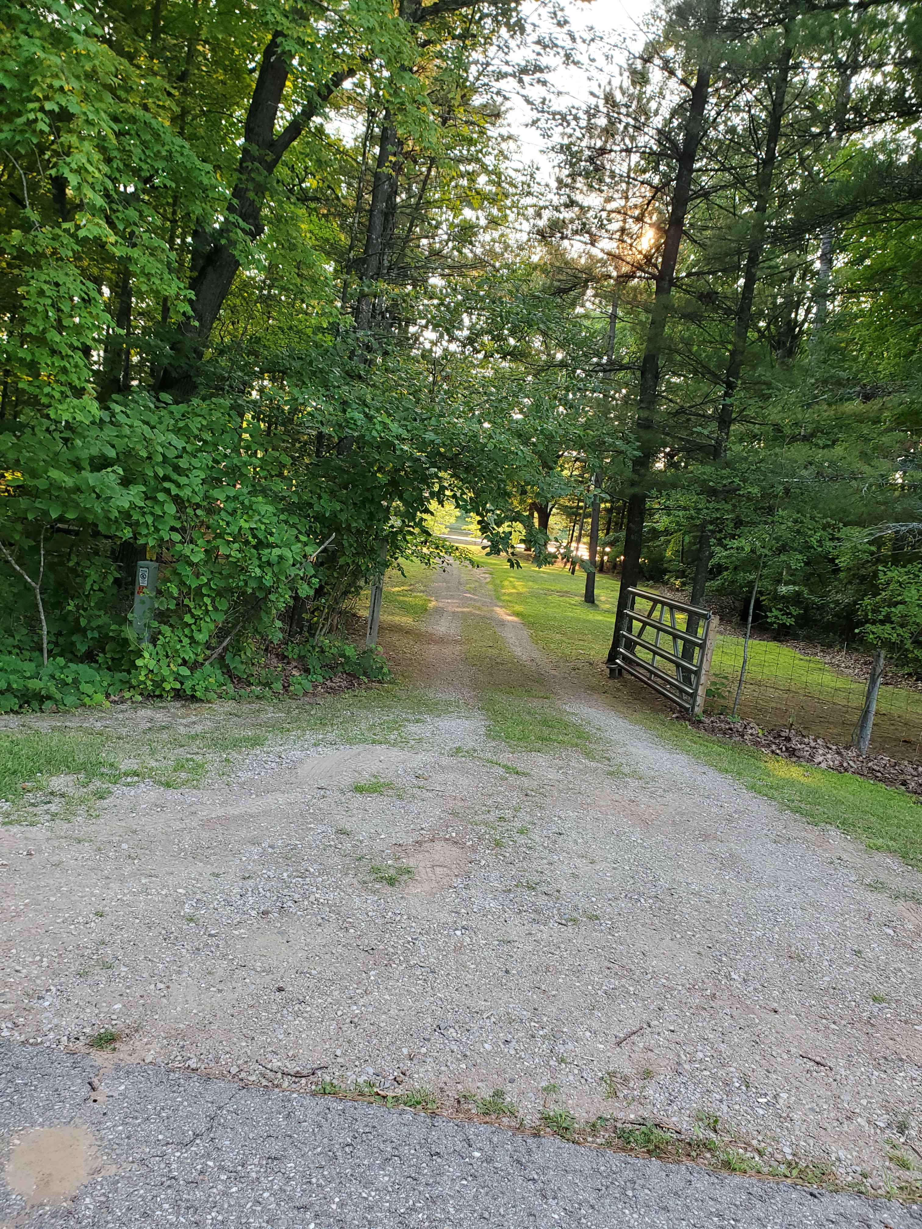 Picture of the site