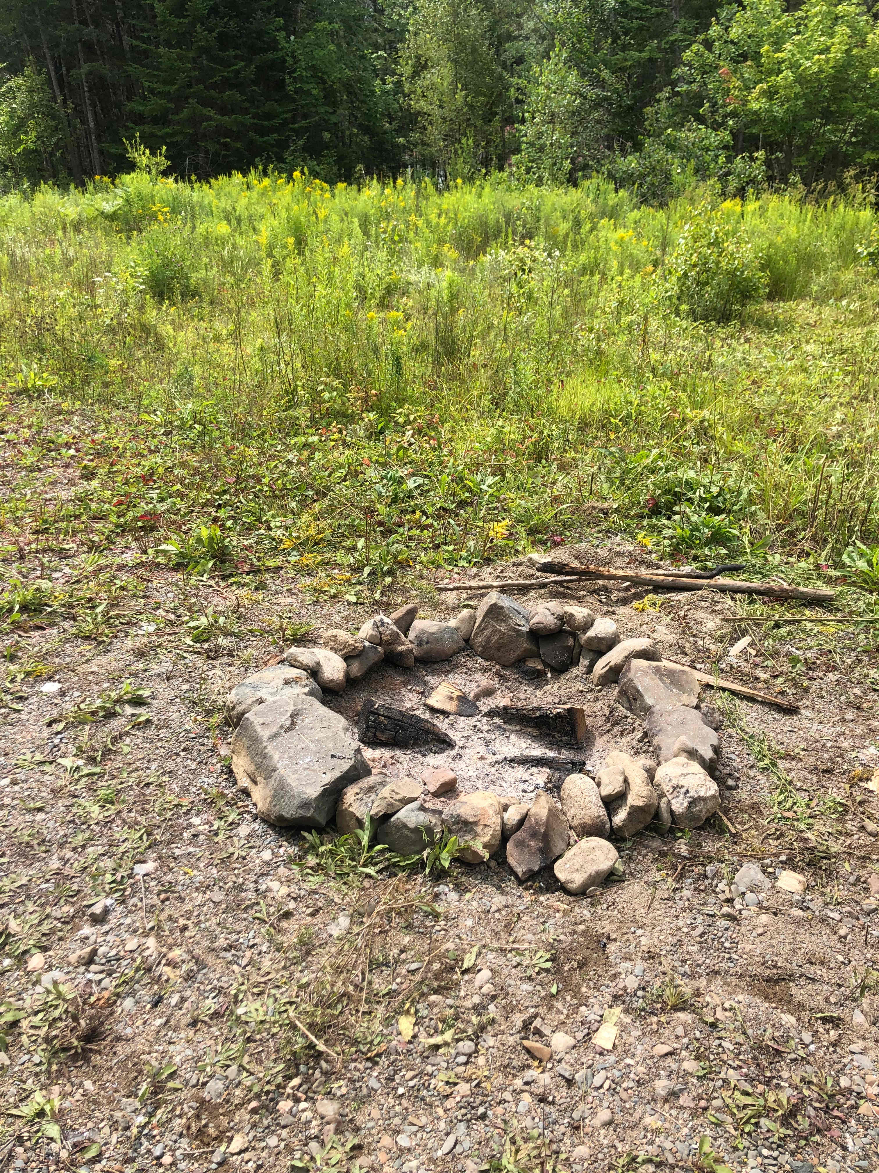 You are welcome to burn any dead branches or trees
