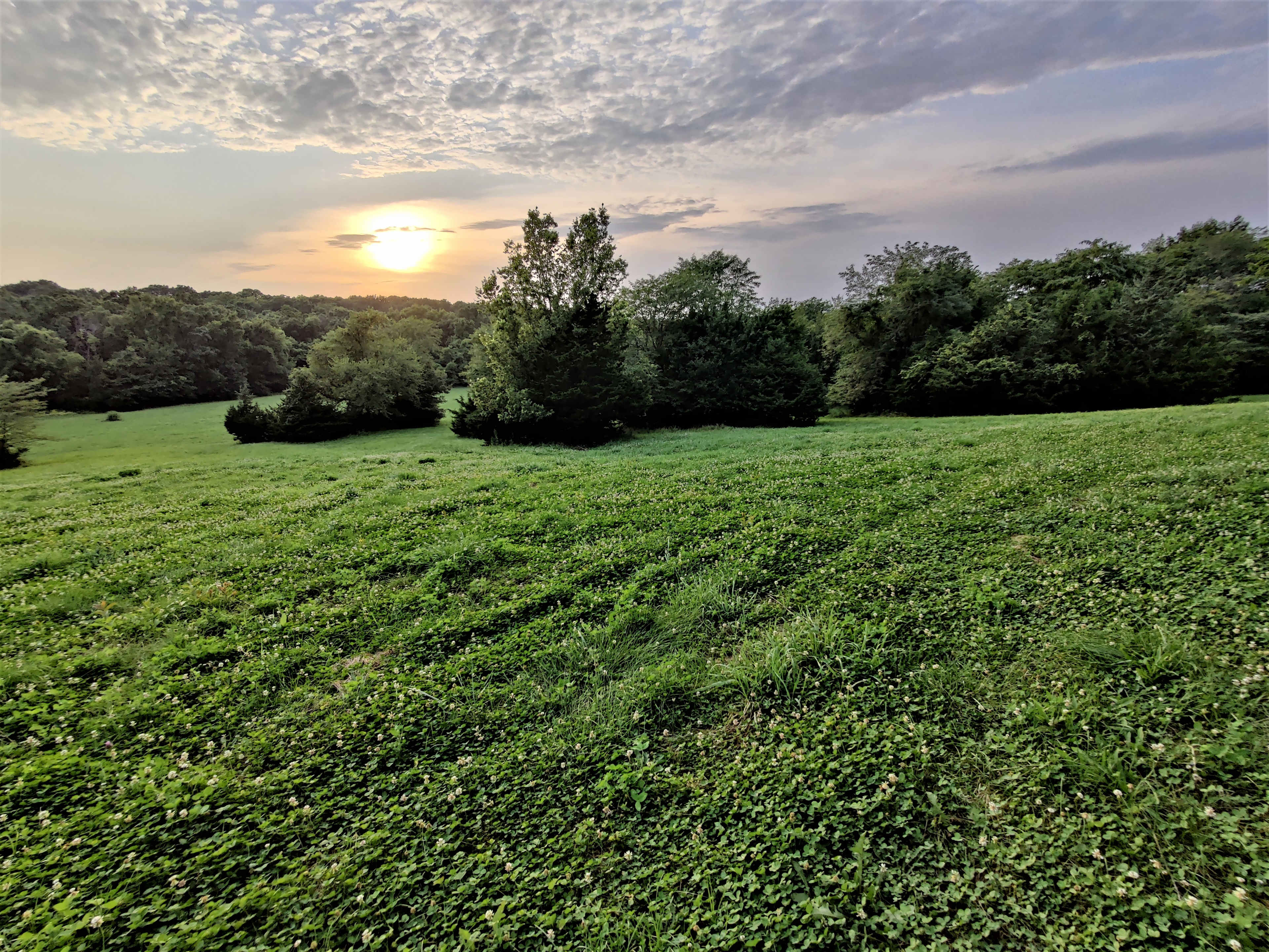 Sunset Overlook