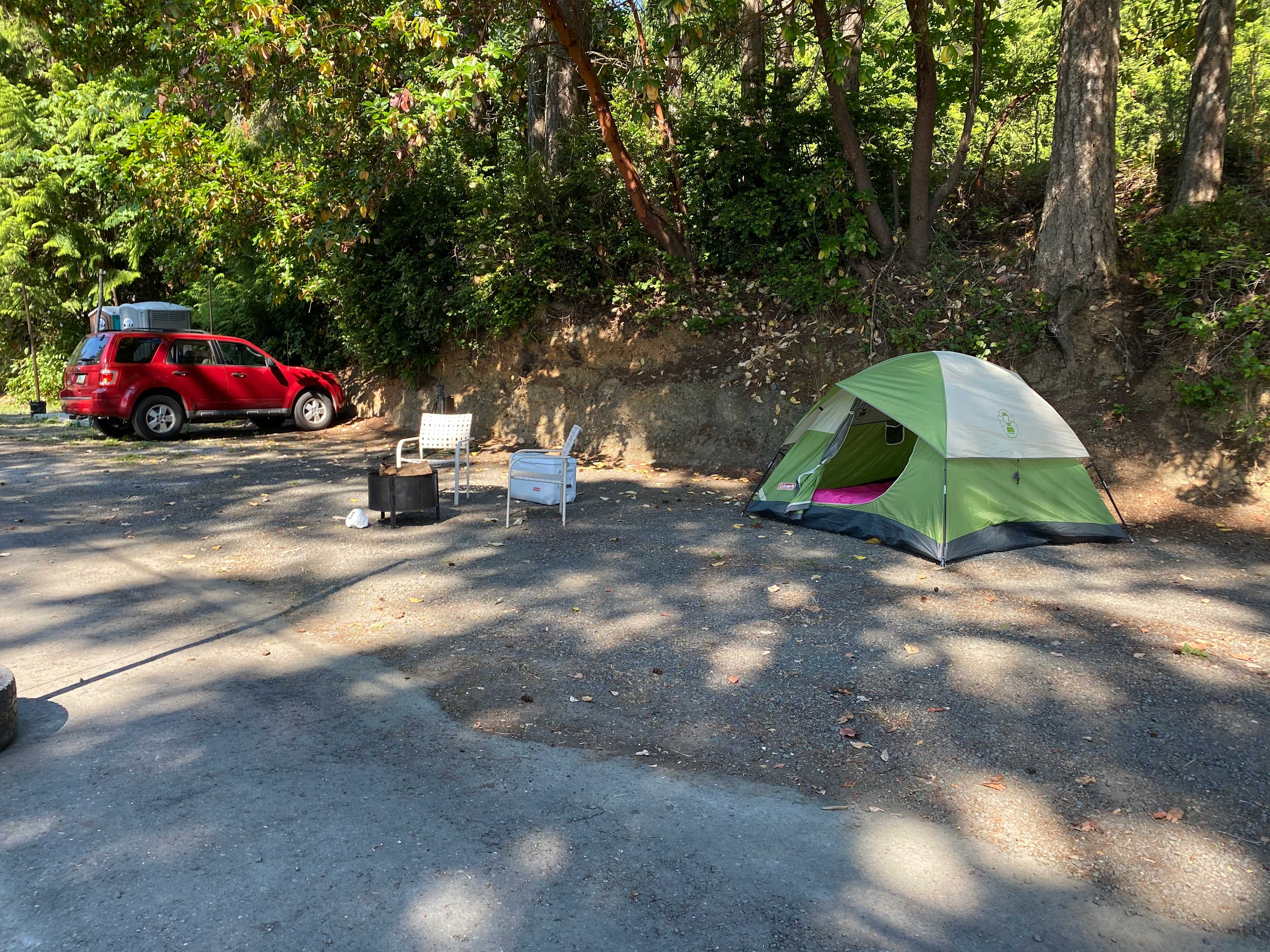 Picture of the site