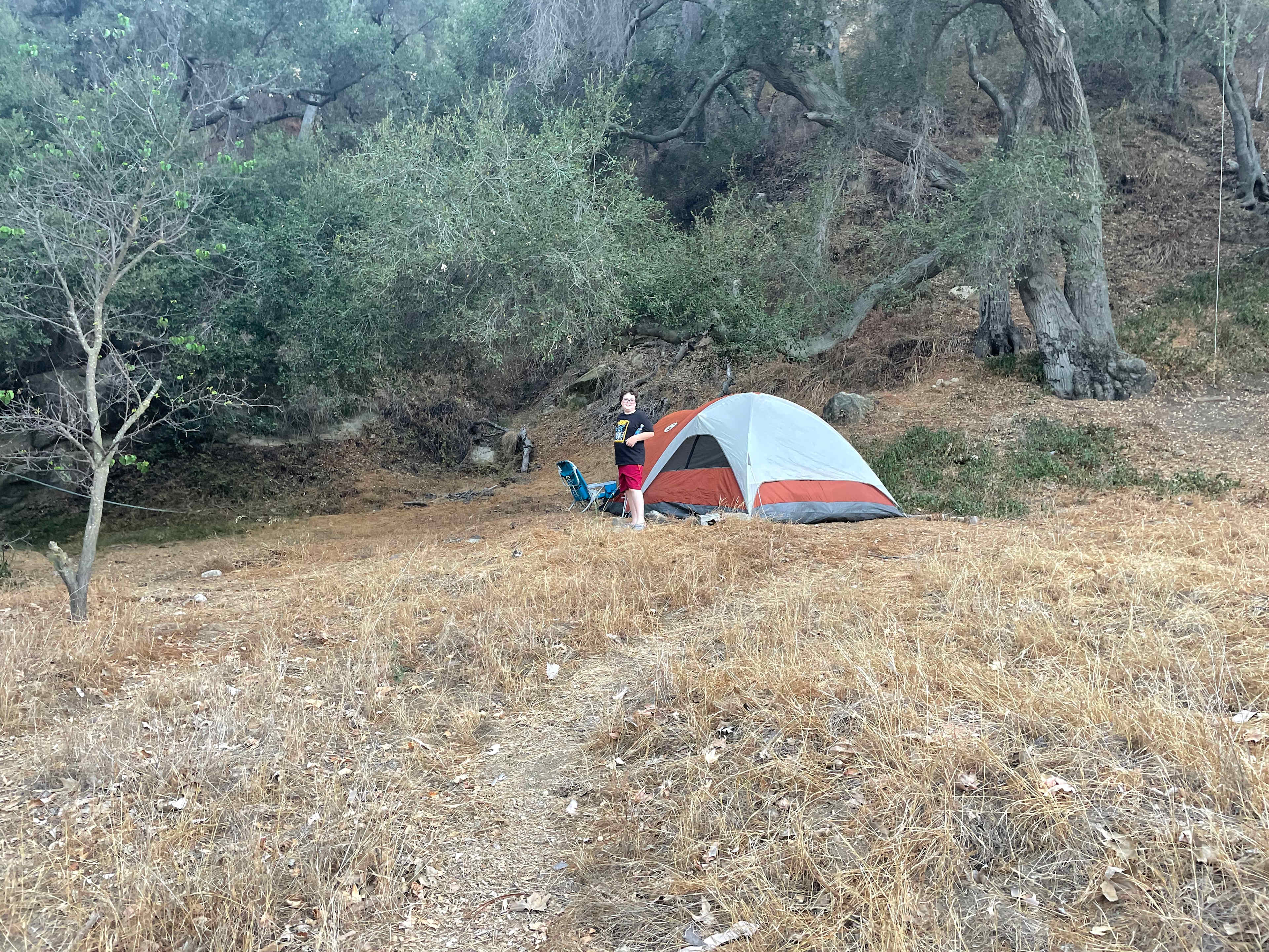Picture of the site